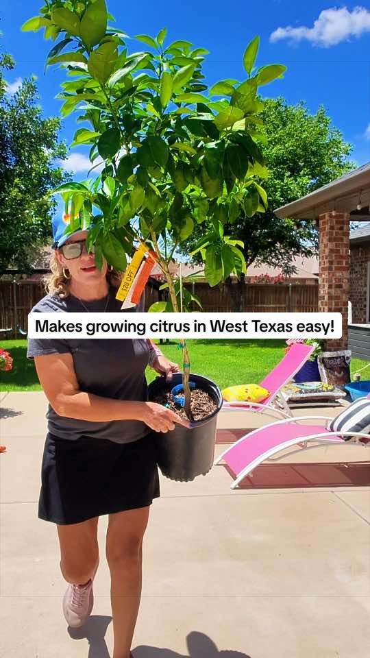 @Petunias and Pickles