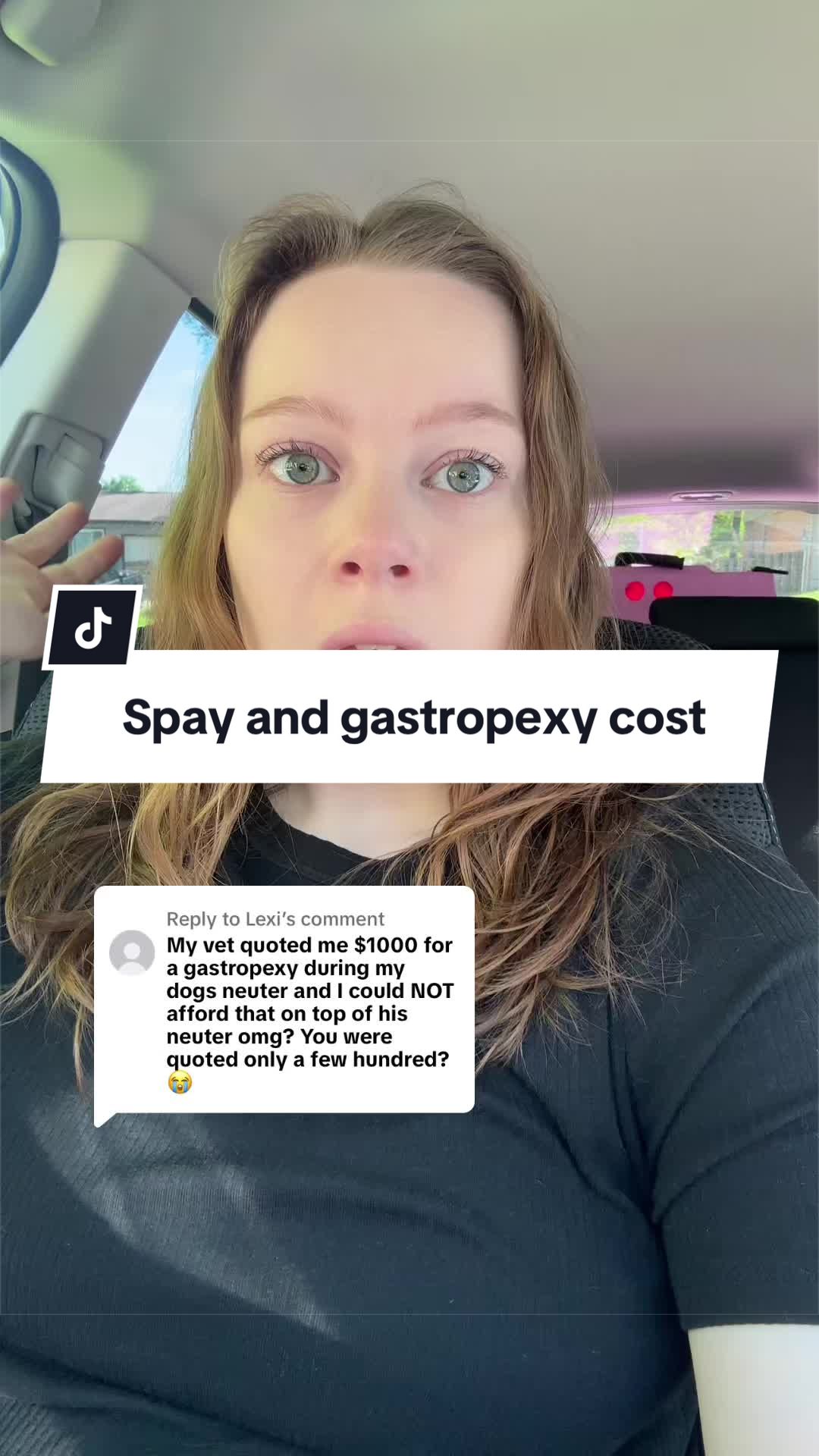 @Maddie, Jovie & Nessie🤍🤎🐩