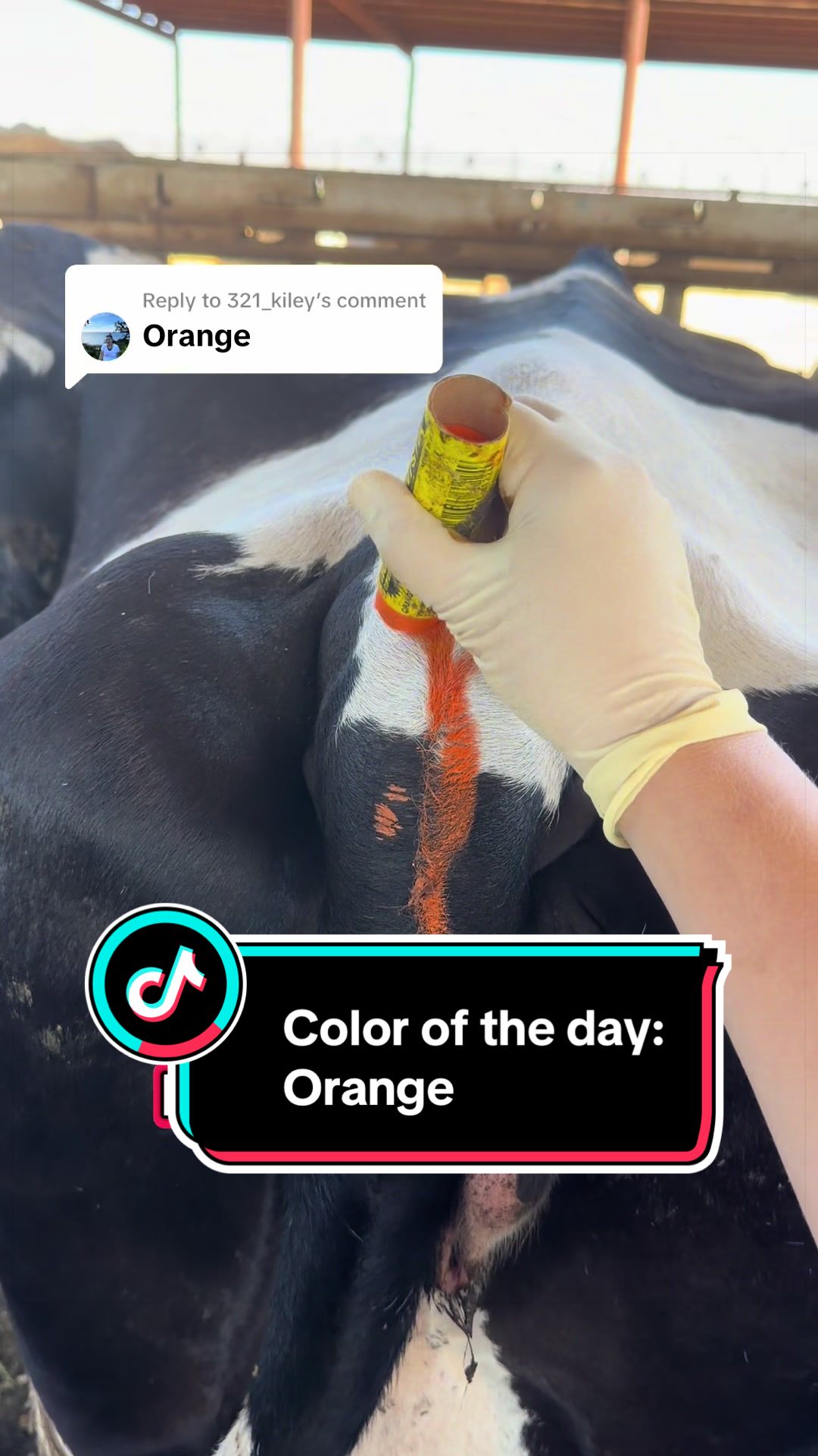 @Dairy Vet Dr. Michelle