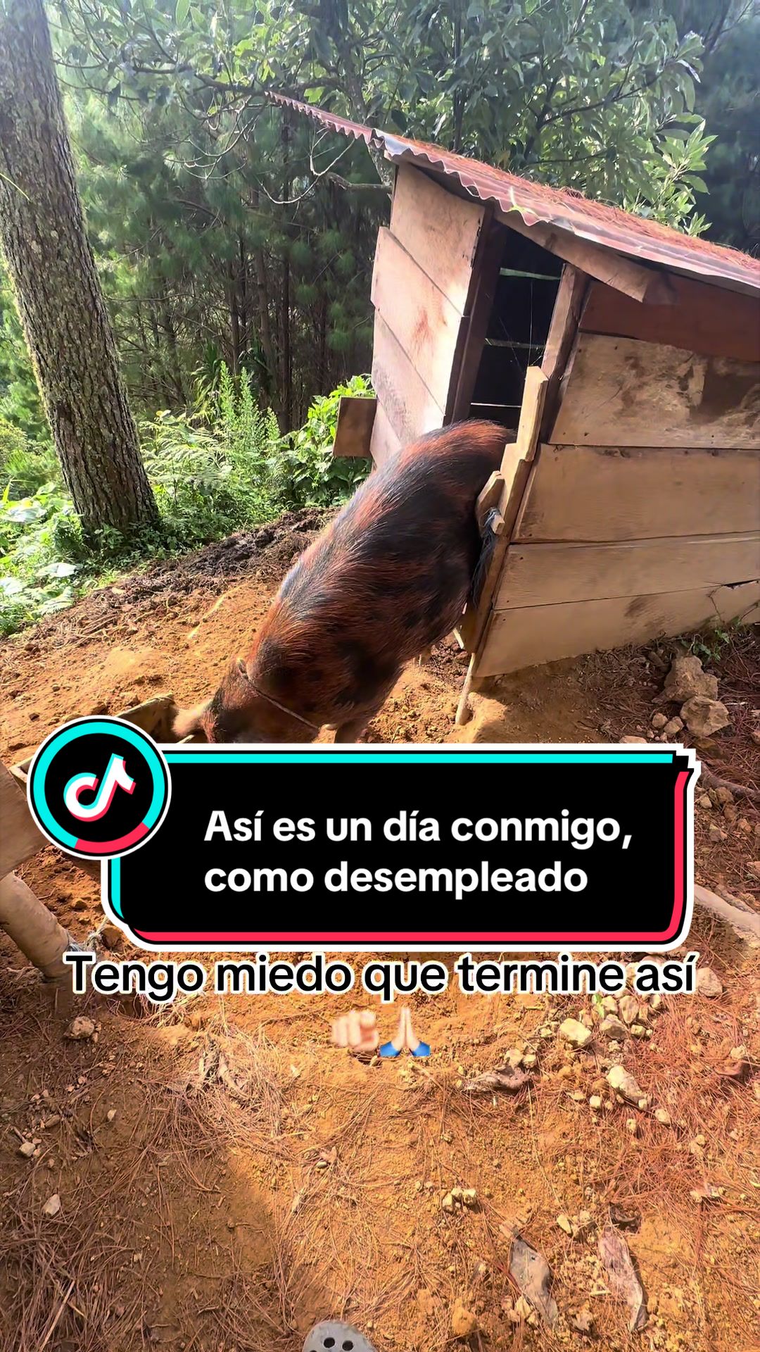 @Mar Boss Farmer