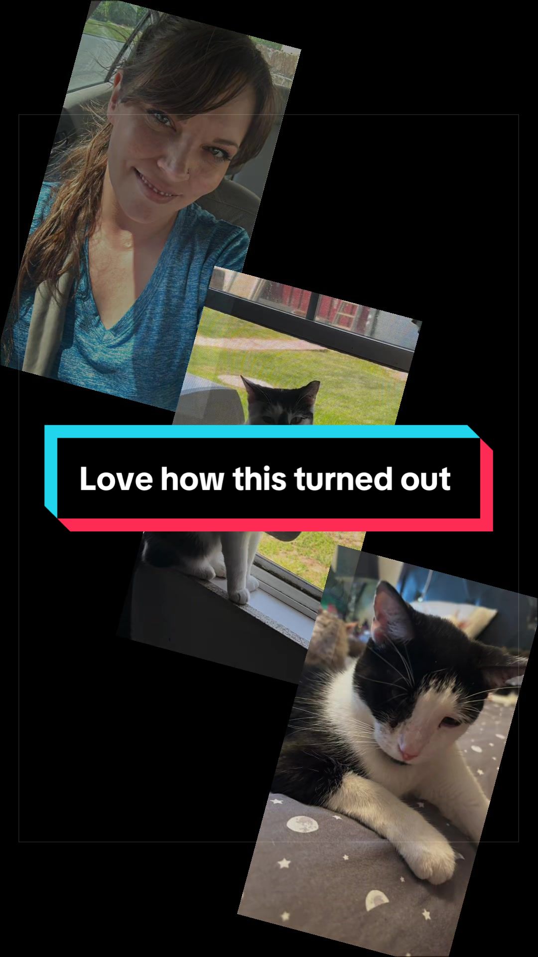 @catlover313official