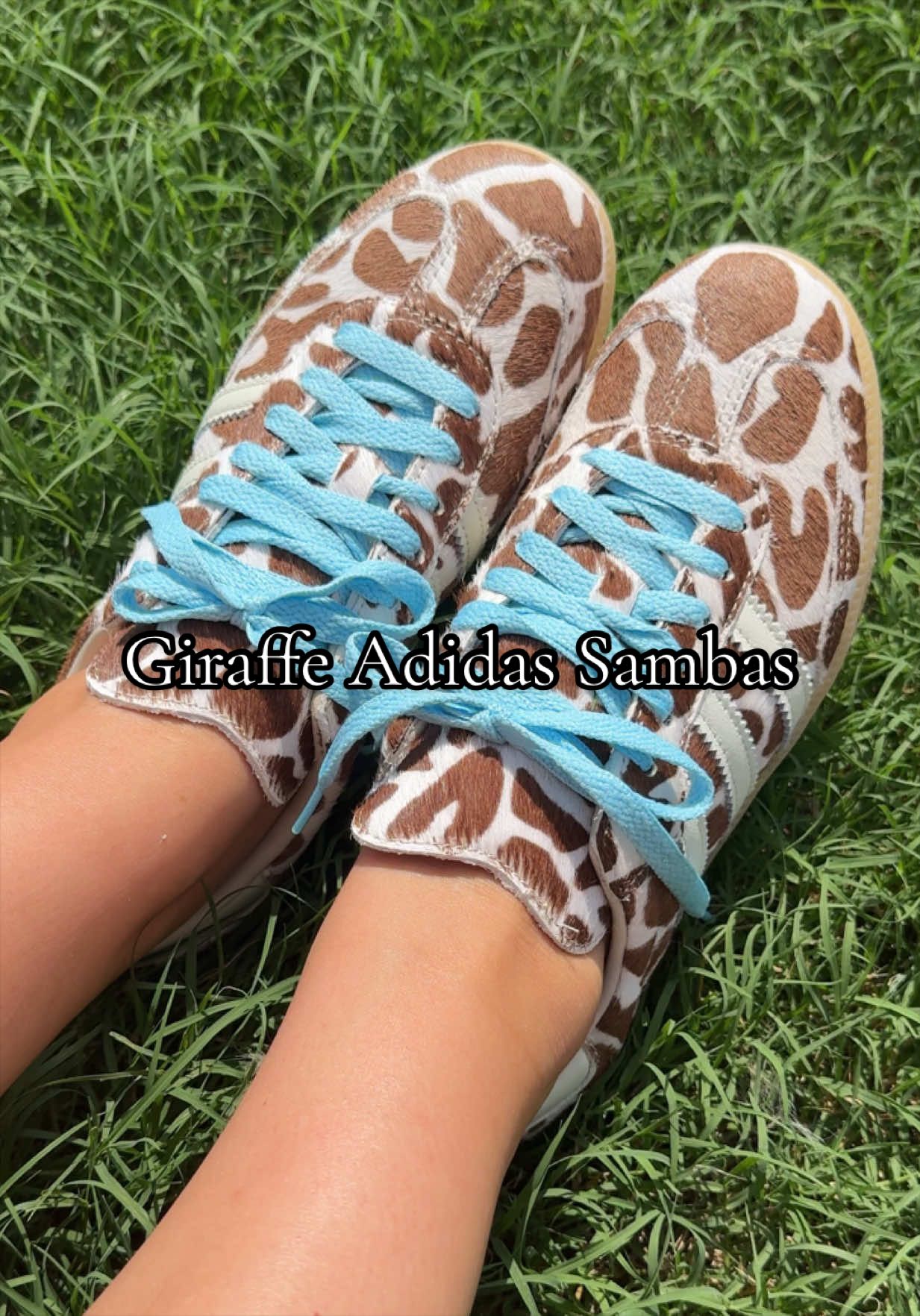 @Shelby 🌼