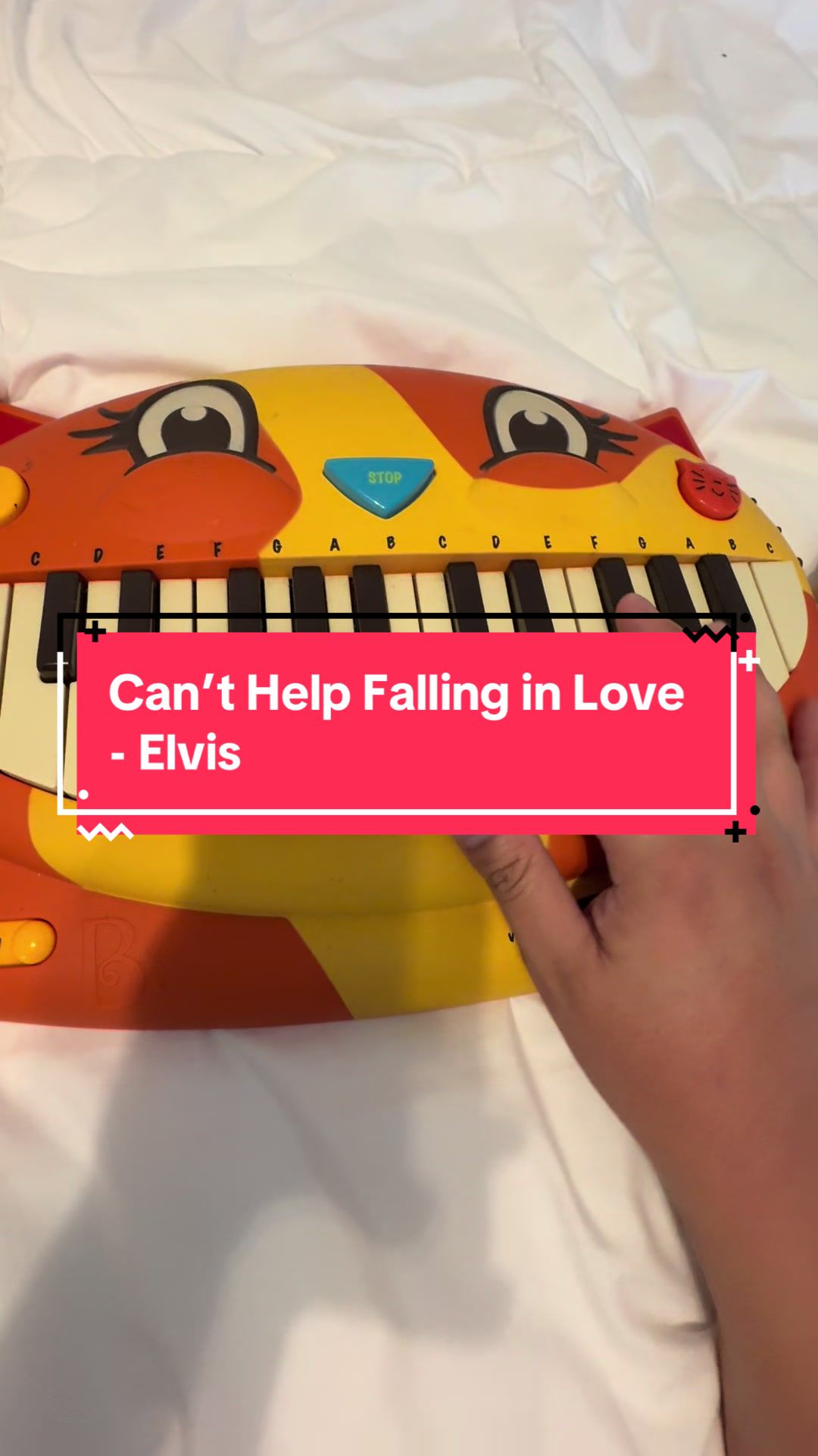 @Dave the Cat Piano