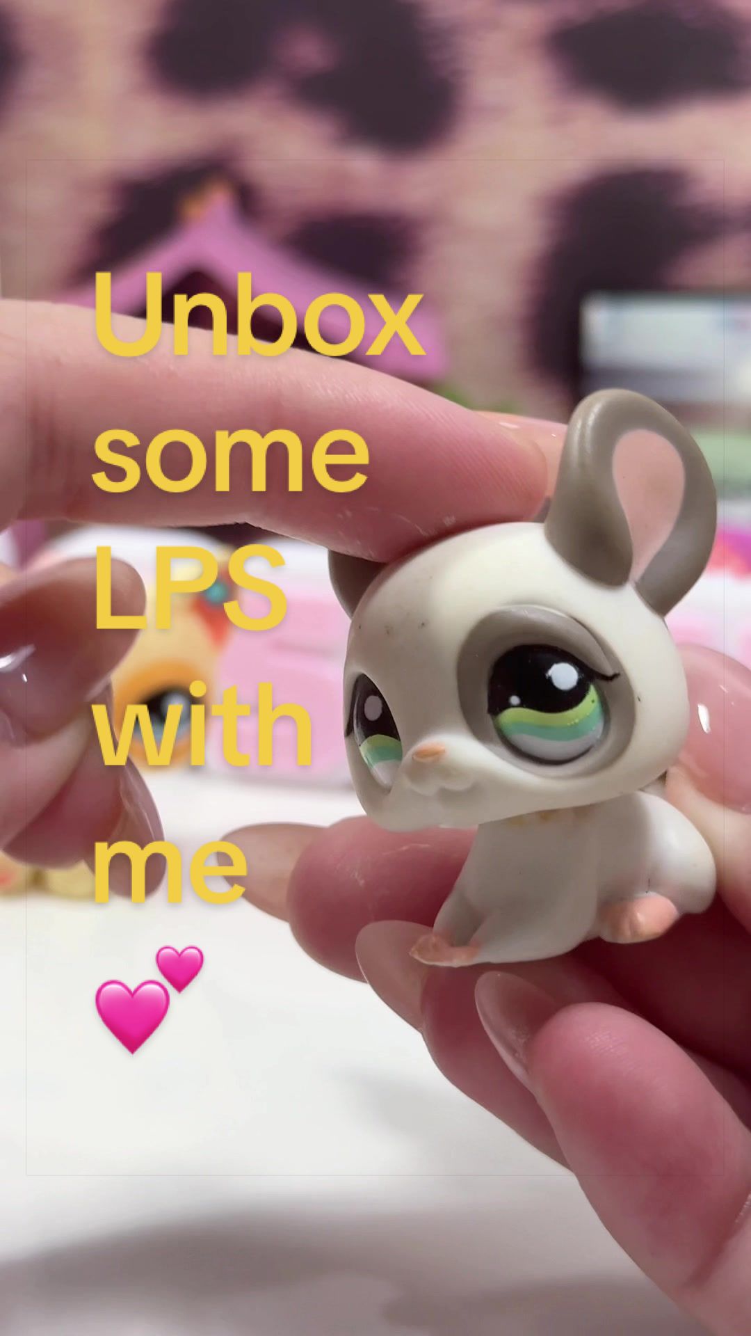 @LPS Evie౨ৎ