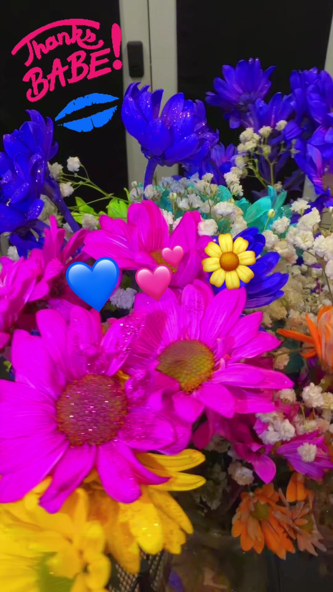 @🦋ᥒᥱssᥲძᥲᥣᥣᥲsძі᥎ᥲ🦋