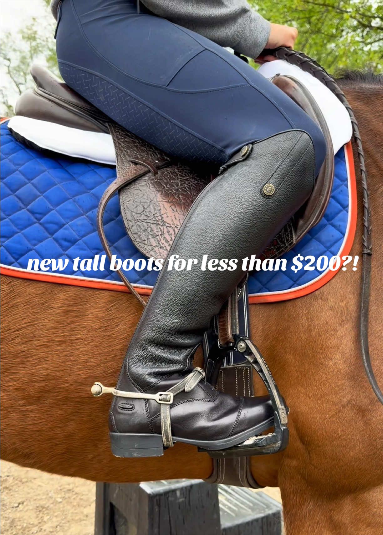 @Lunar Hill Equestrian