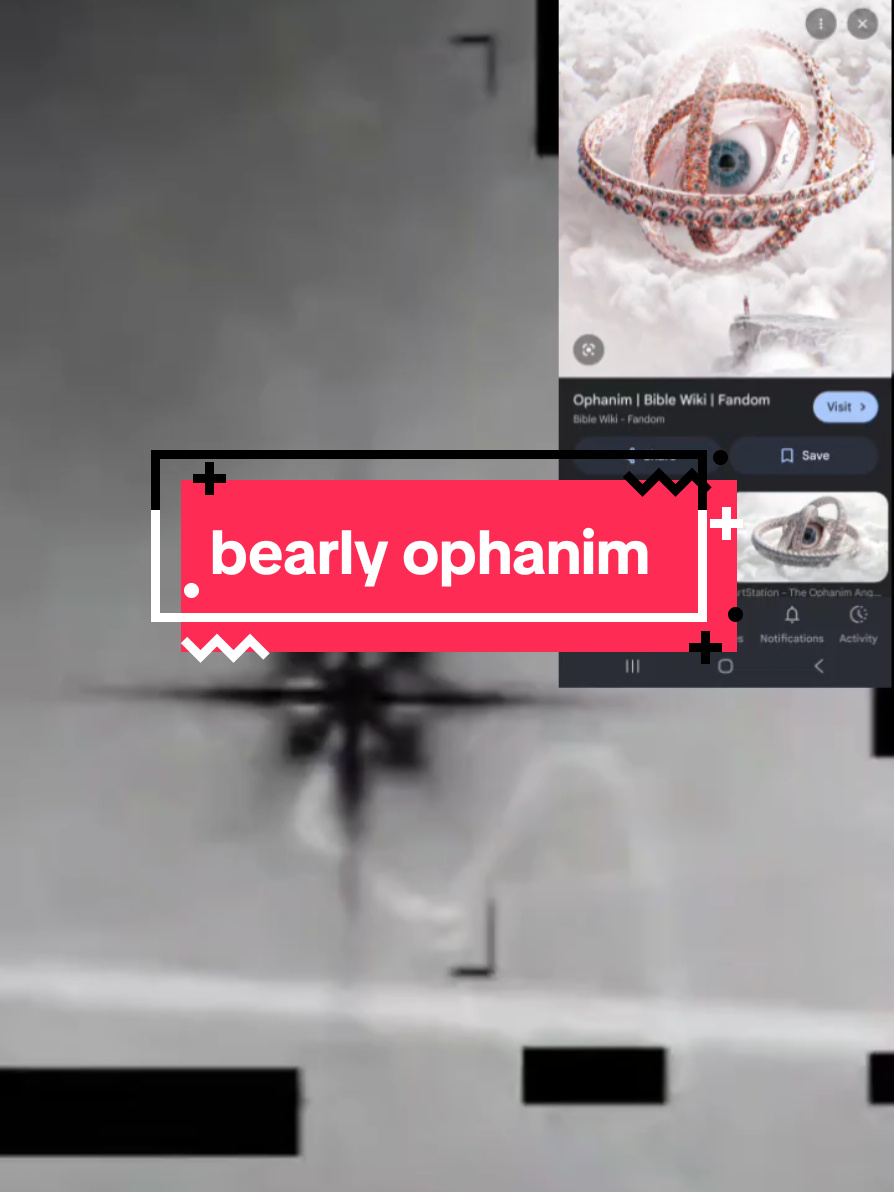 @bearlyconspiracies