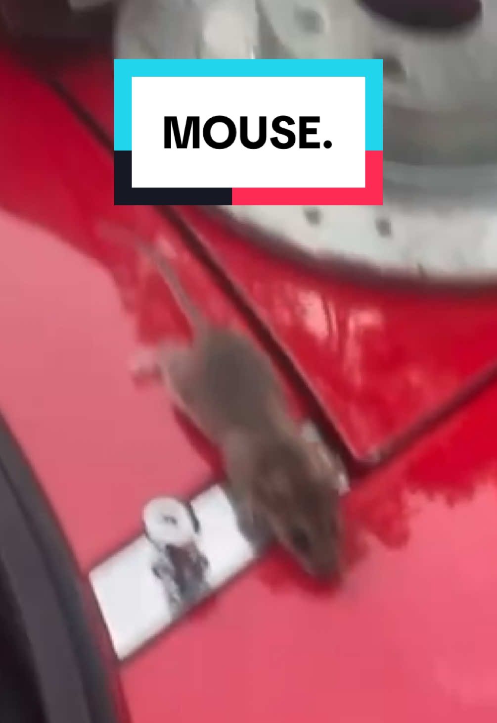 @faux