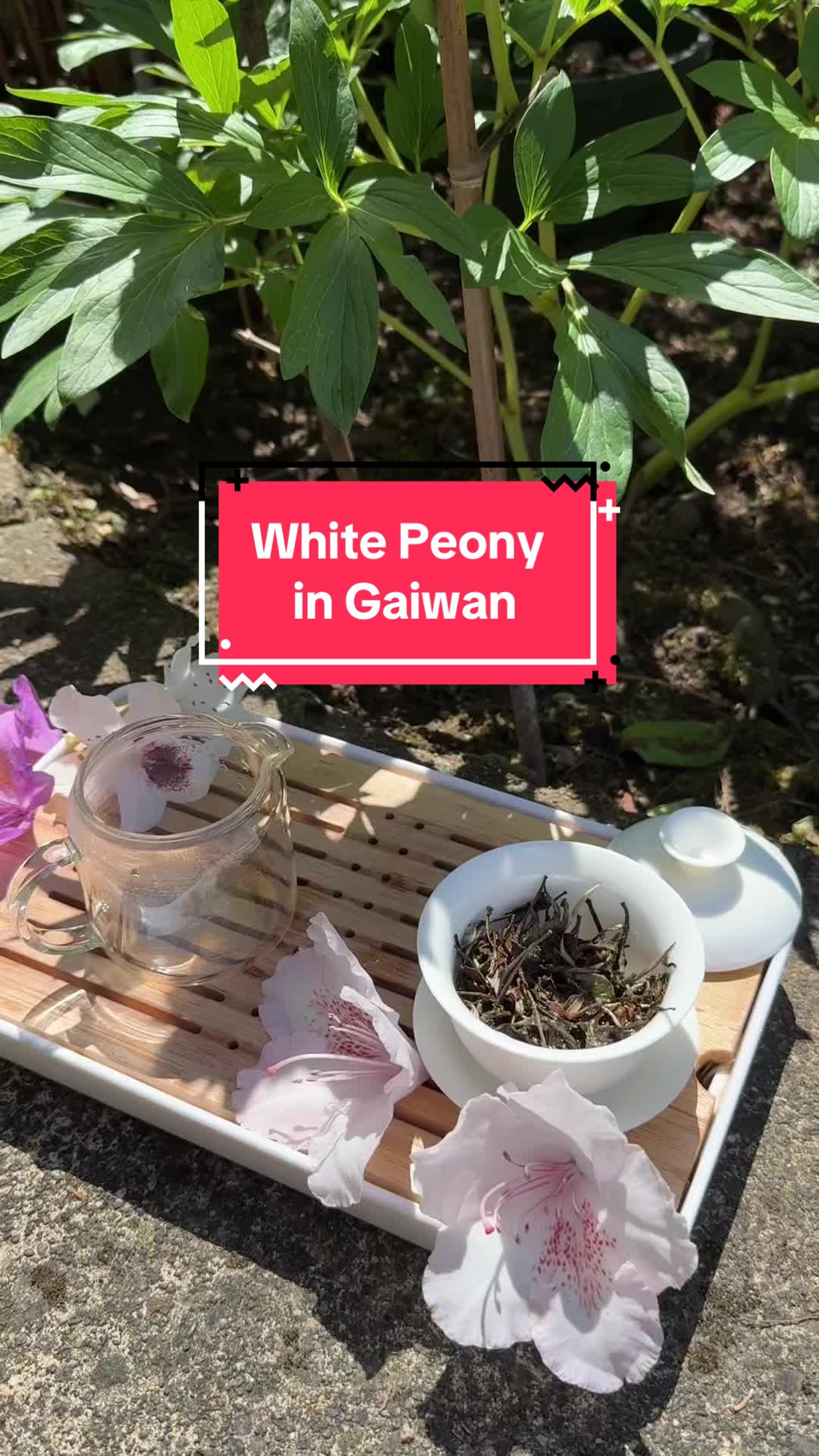 @City & Country Fine Tea Corp.