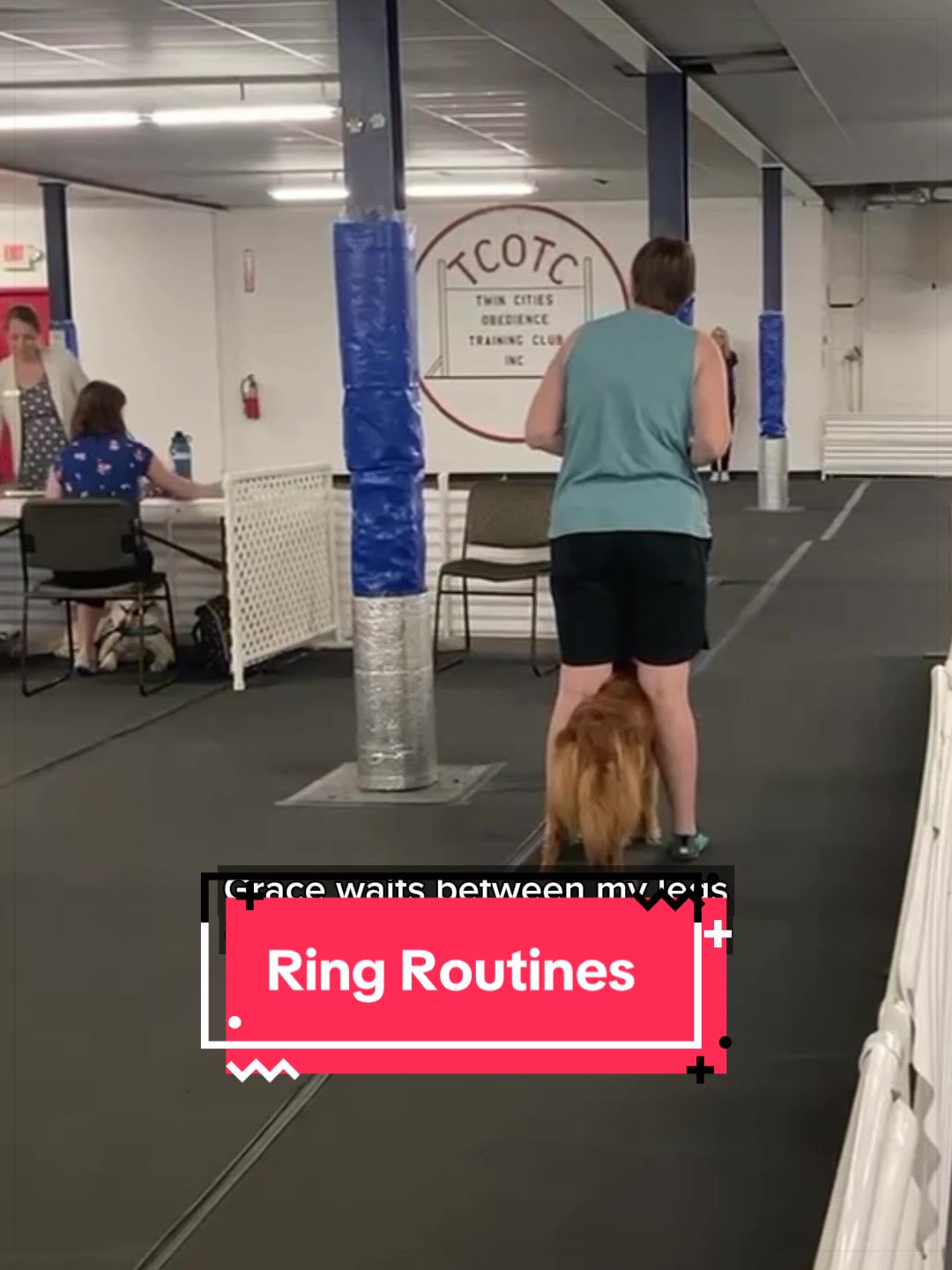 @Laura Waudby - Dog Sports