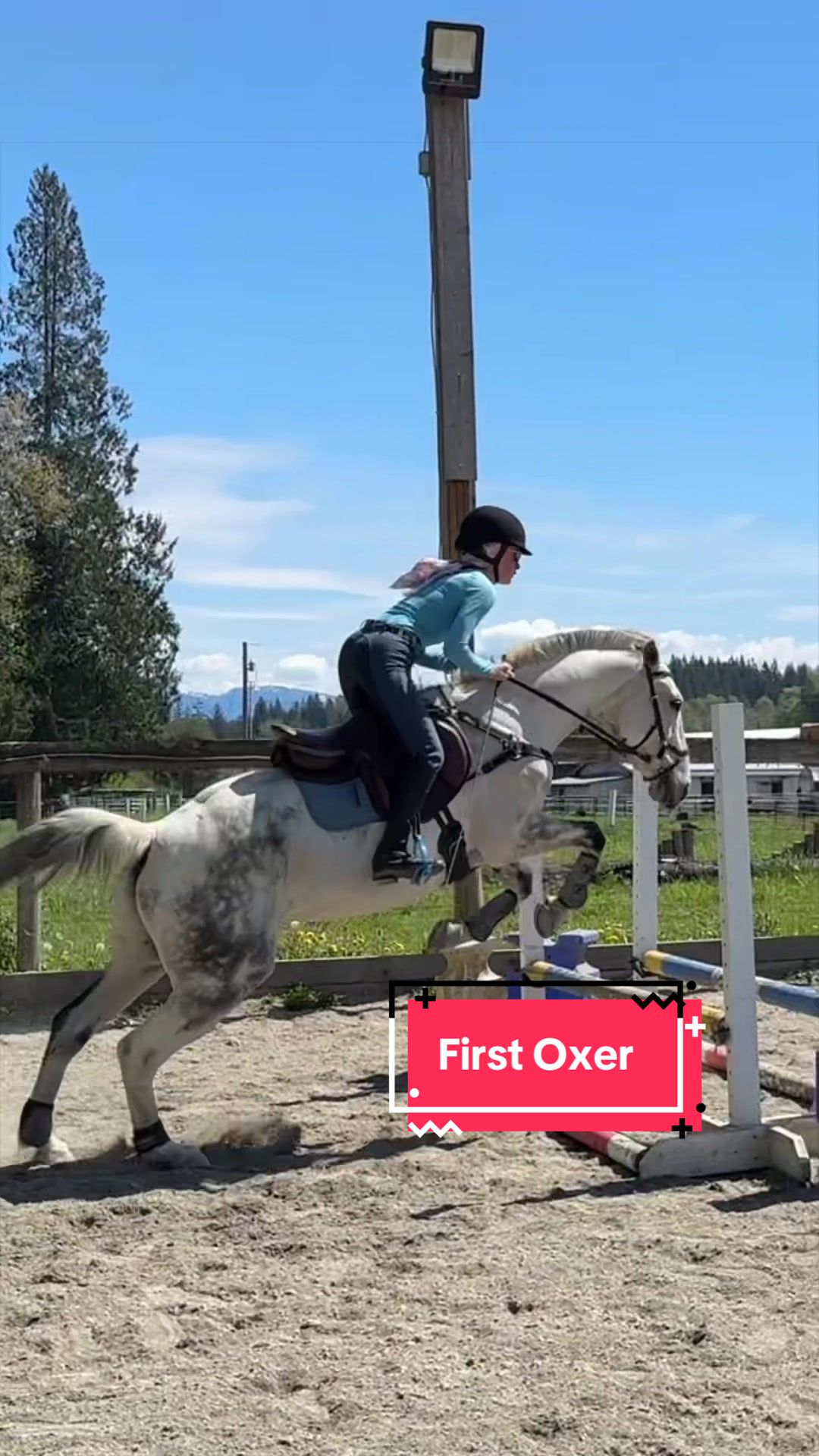 @BlueStarEquestrian