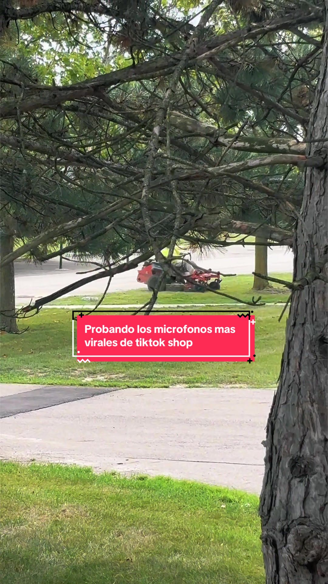 @Alejandro García