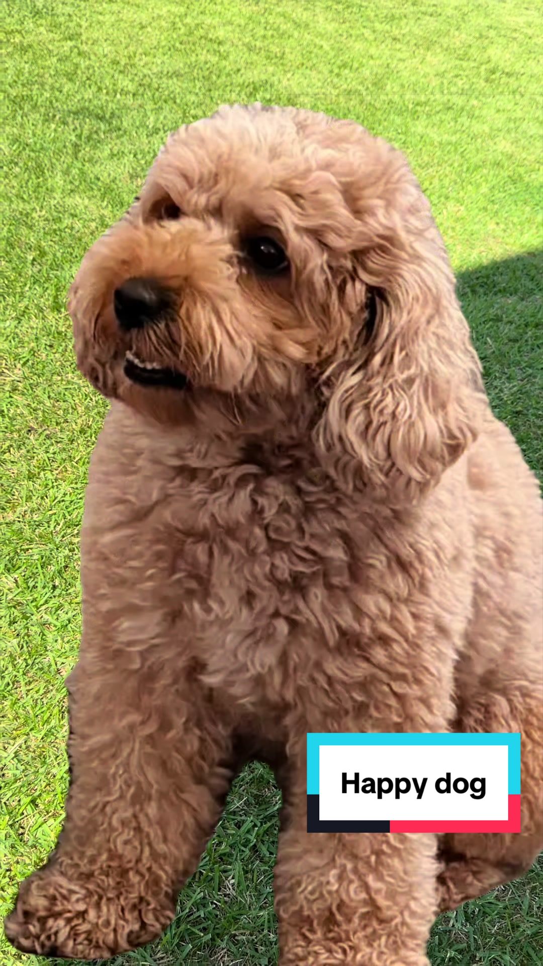 @PattyLove BabyNova 🐾🎀🥰