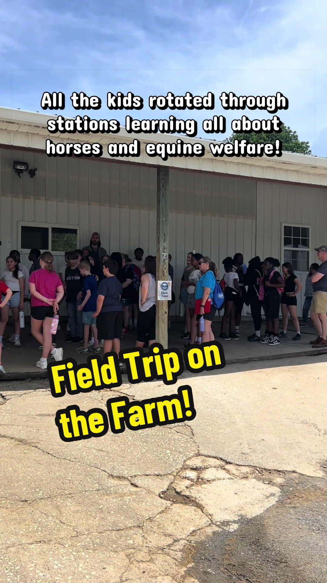 @Days End Farm Horse Rescue