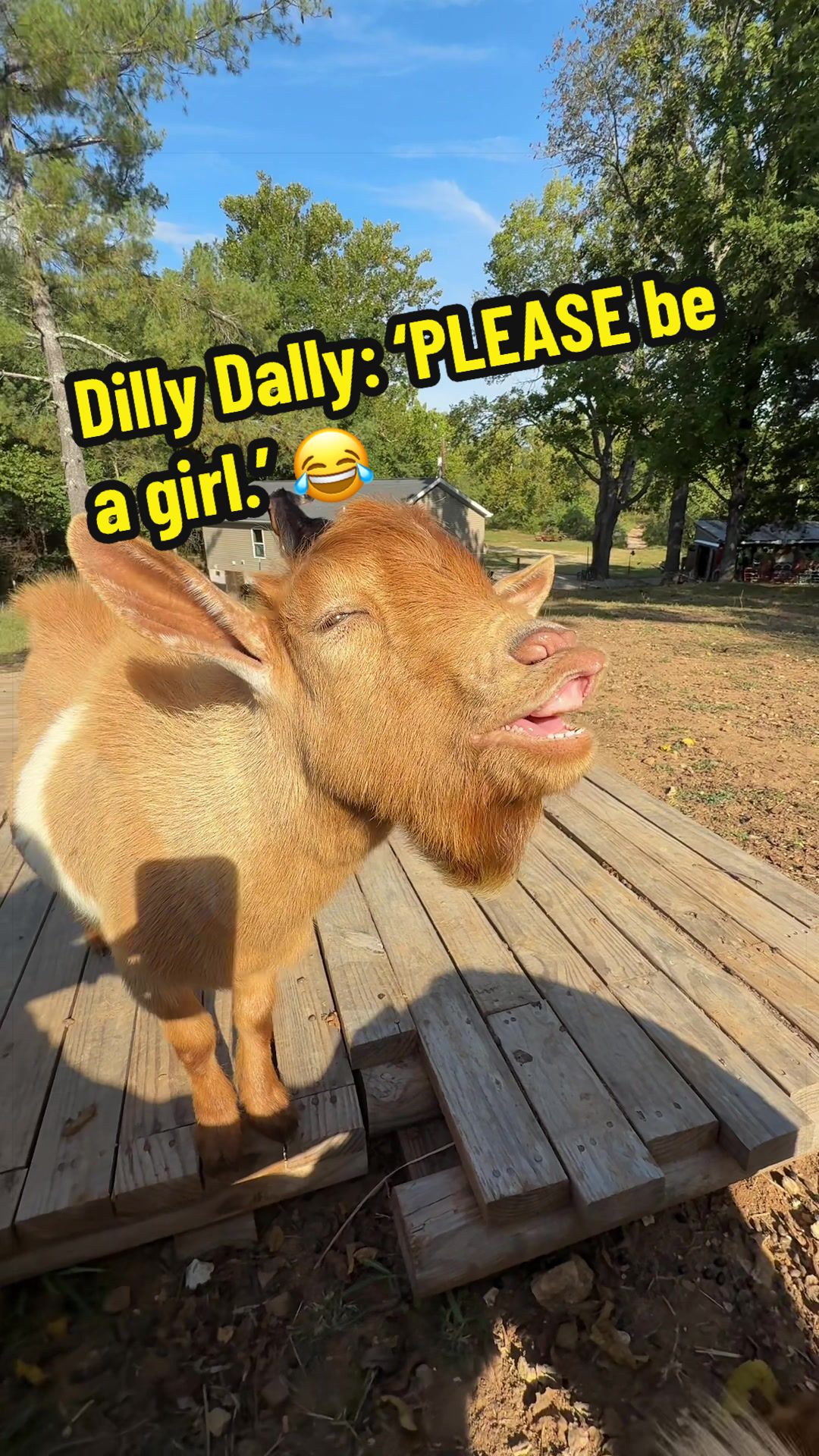 @KidsOnKerth 🐐 Hannah 💀🎃👻
