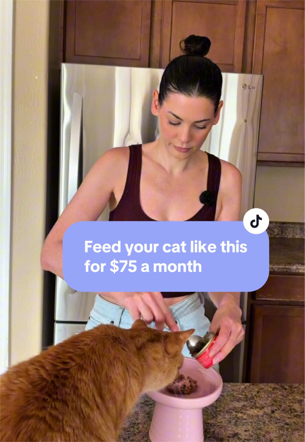 @Feminist Kitty | Cat Nutrition