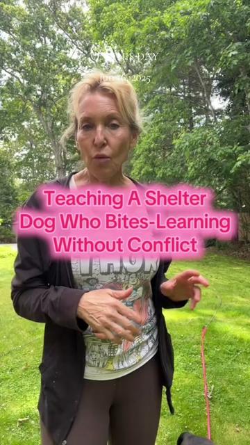 @Hillary