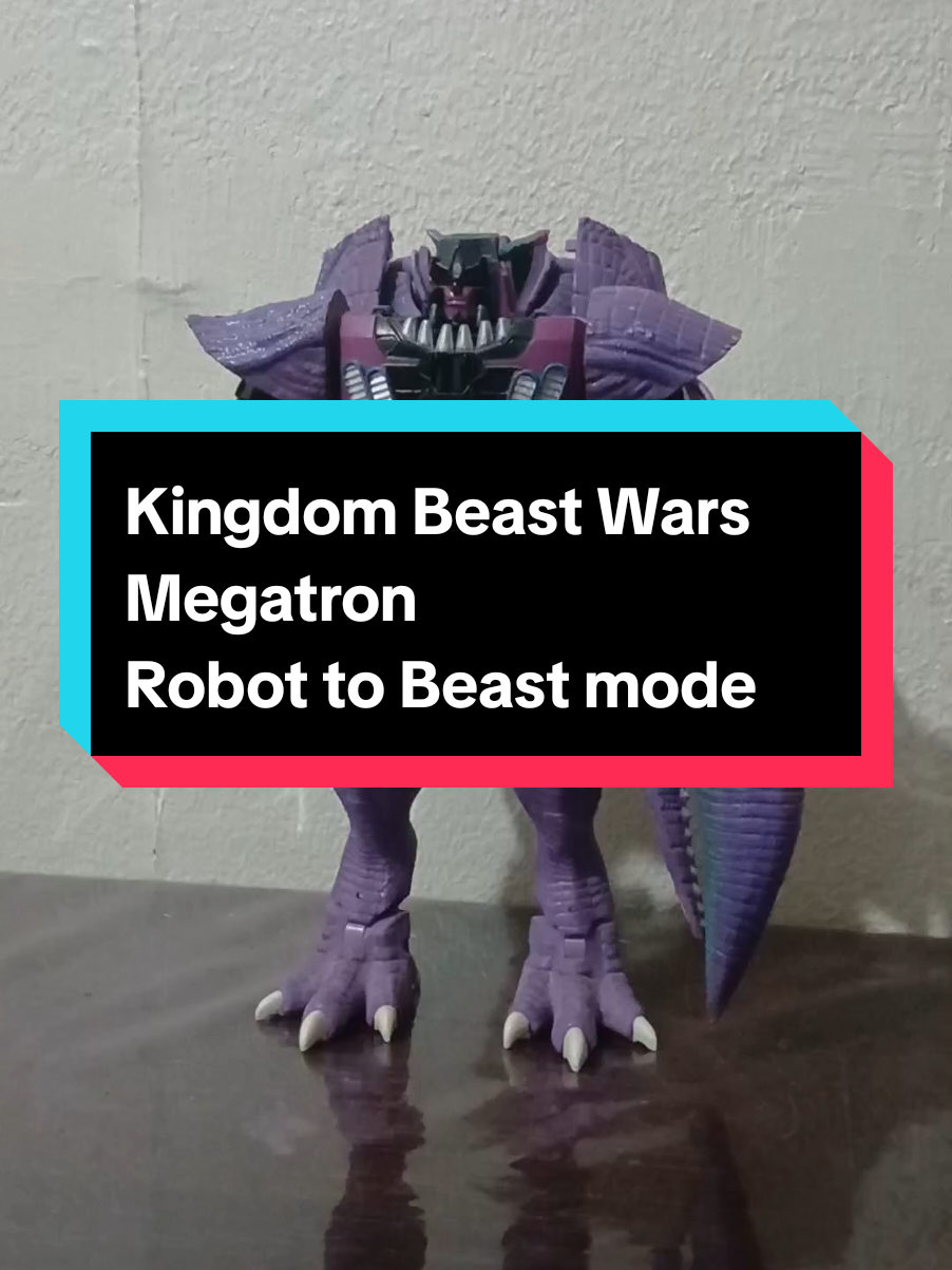 @Transformers collector