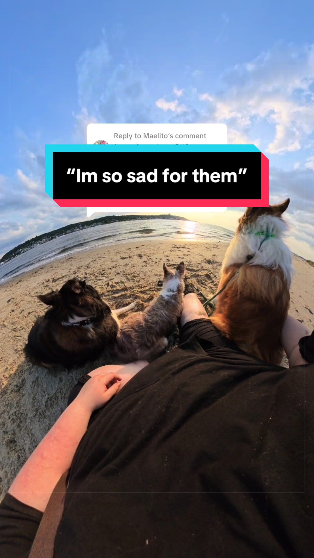 @Dakota & Pups