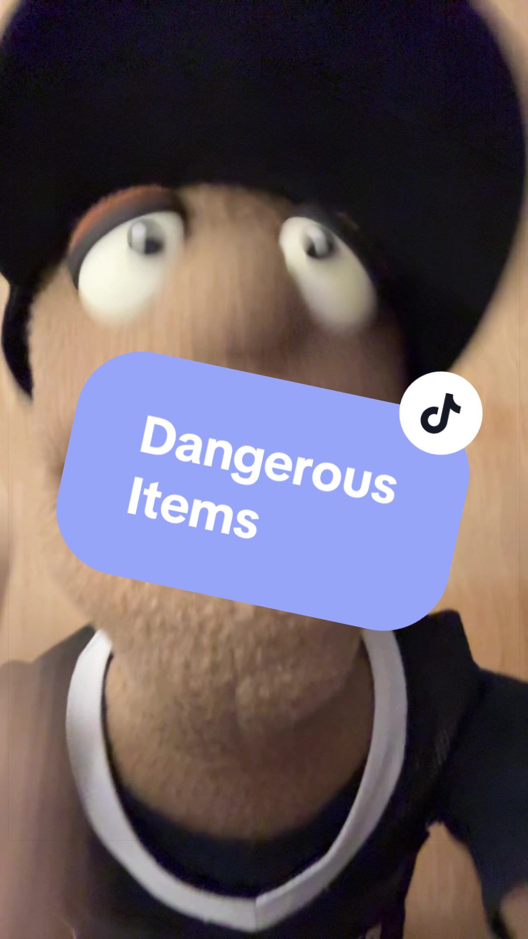 @Brooklyn Puppet Squad