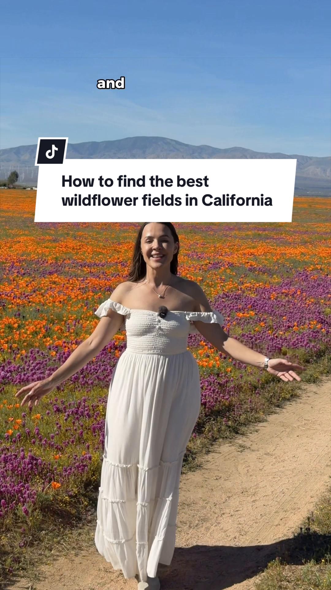 @Asya • Travel + California