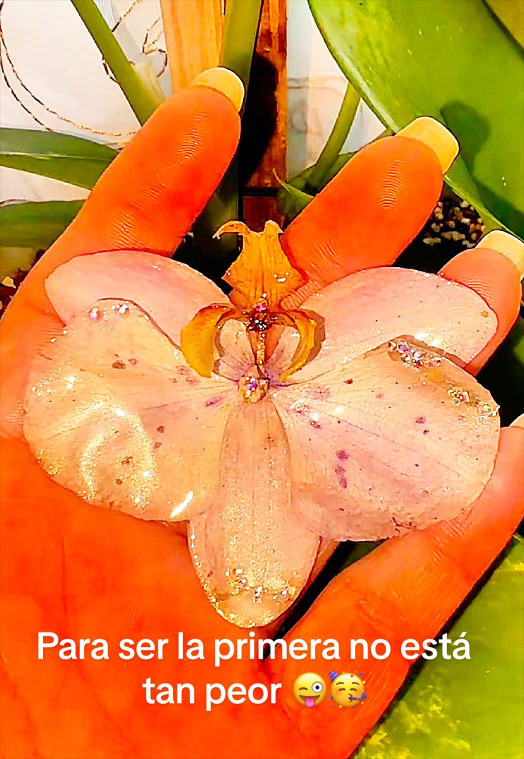 @aprendeconmary2