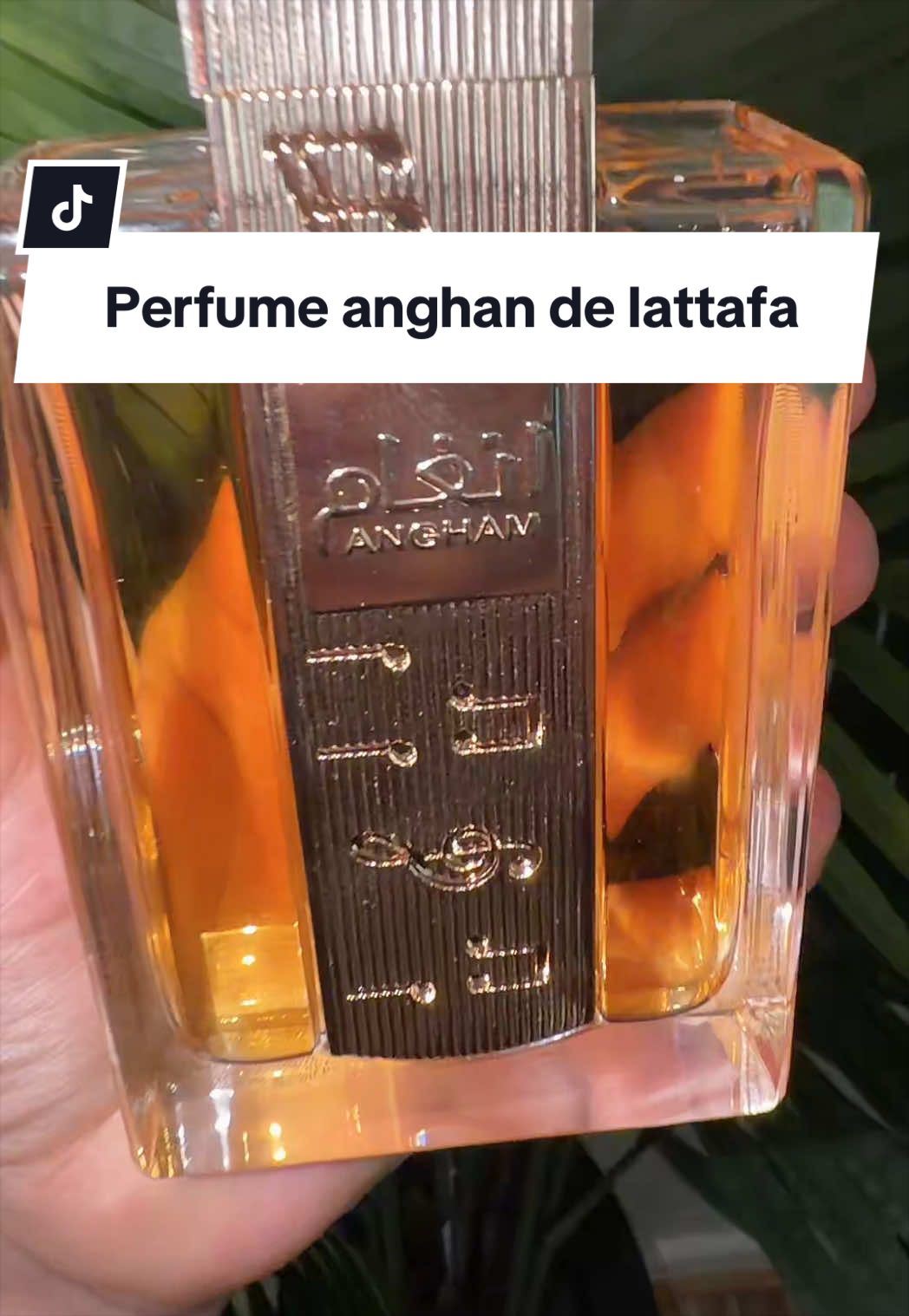 @𝓐𝓫𝓫𝔂 𝓶𝓸𝓻𝓪𝓭𝓮𝓵👗🛍️