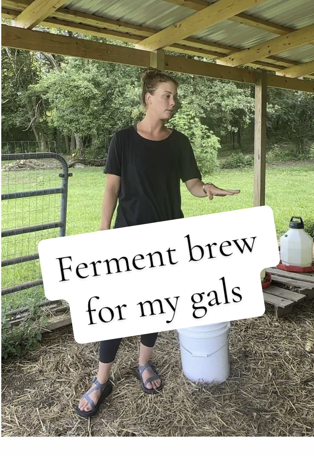 @CopperHollerFarm