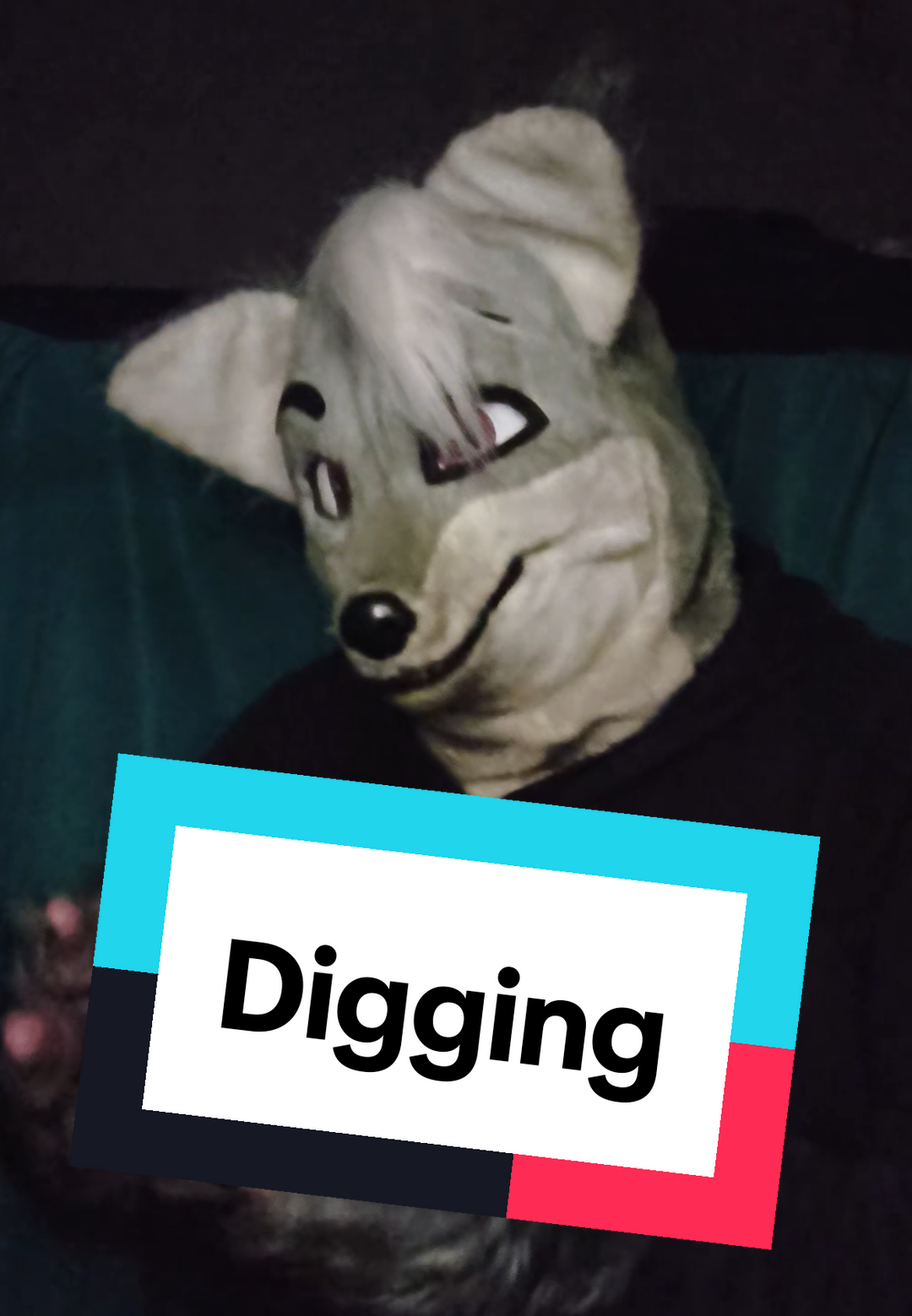 @kilolf5