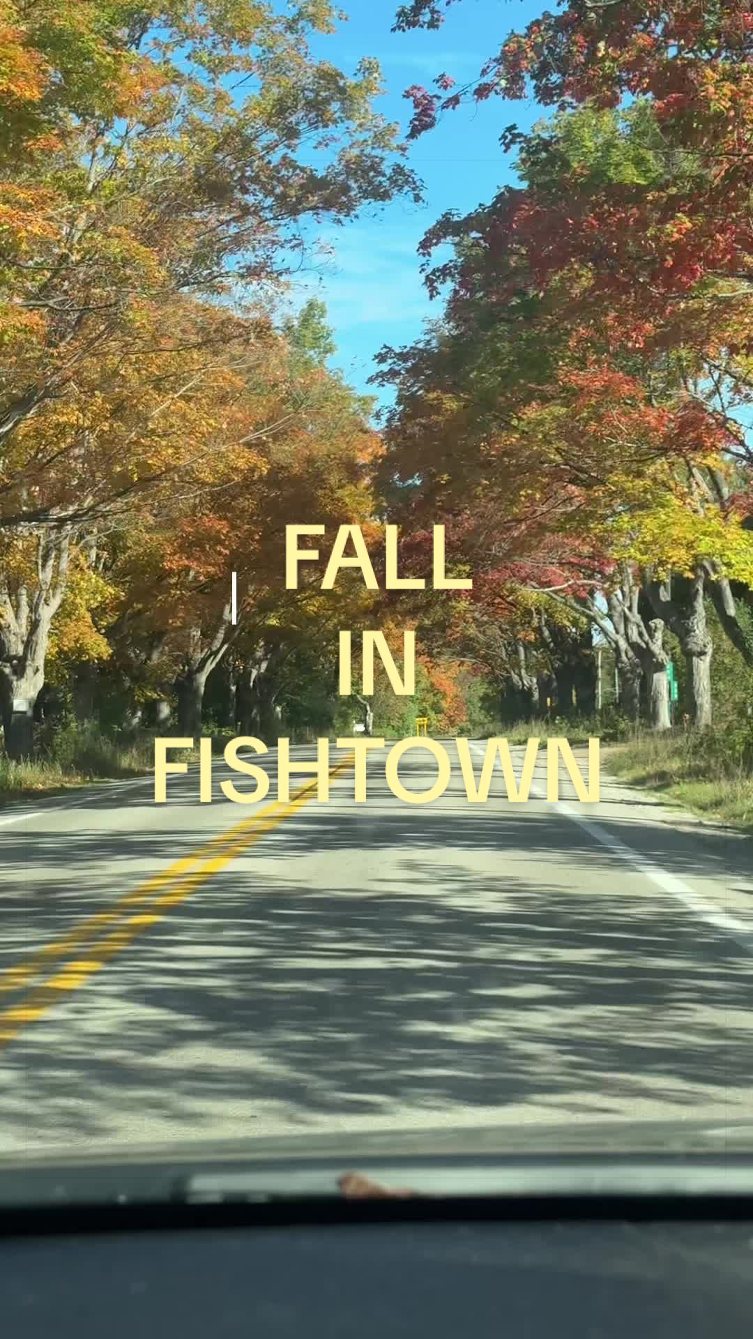 @Leelanau Goods