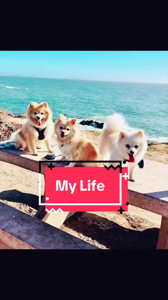 @MLife