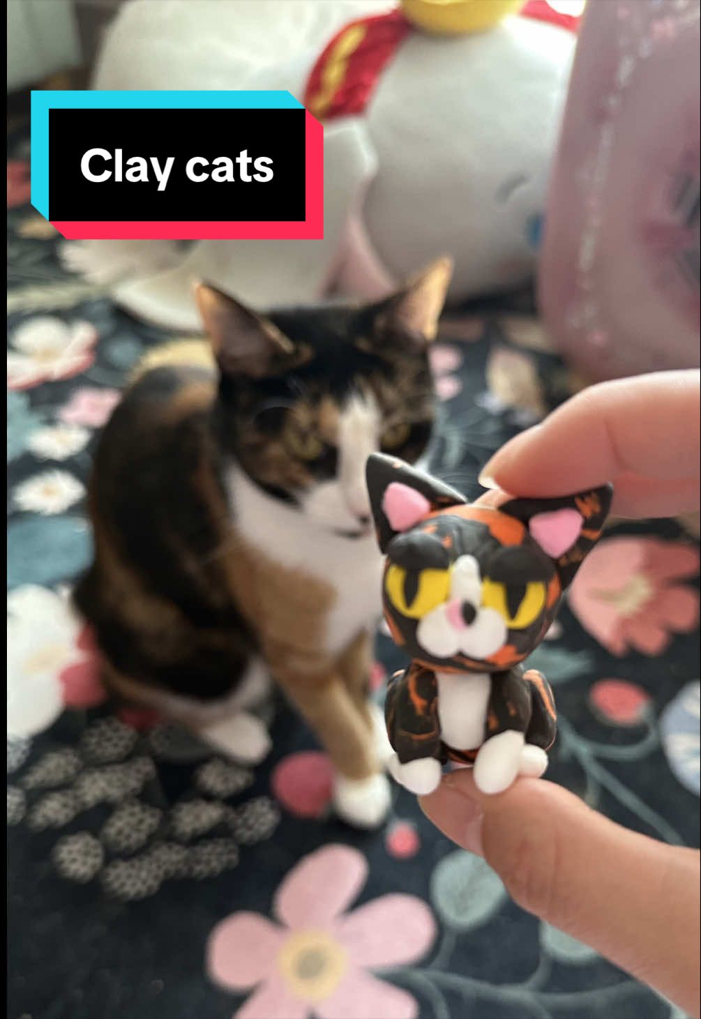 @meloncreamcat