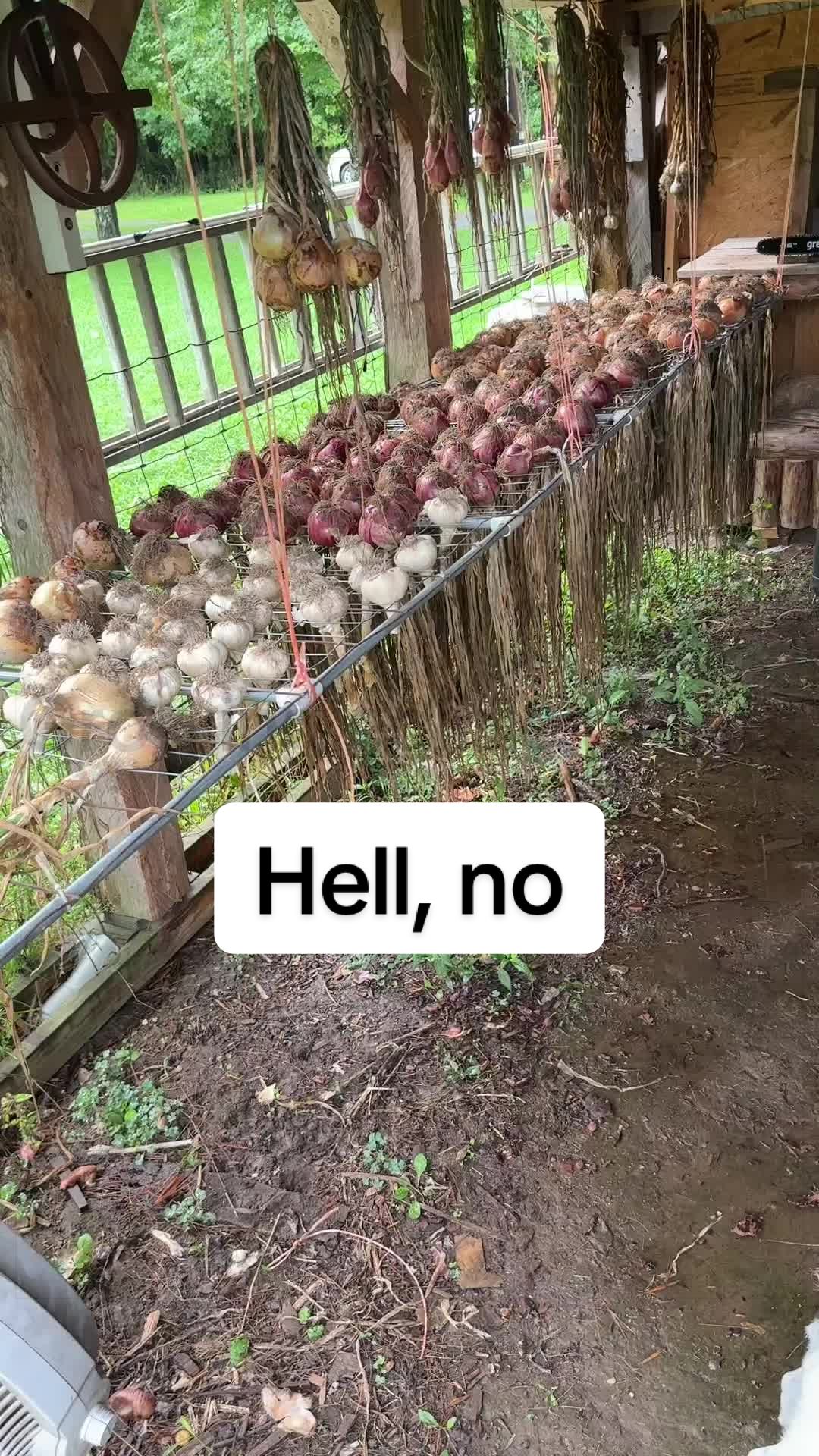 @GROWING_EDIBLE_PLANTS