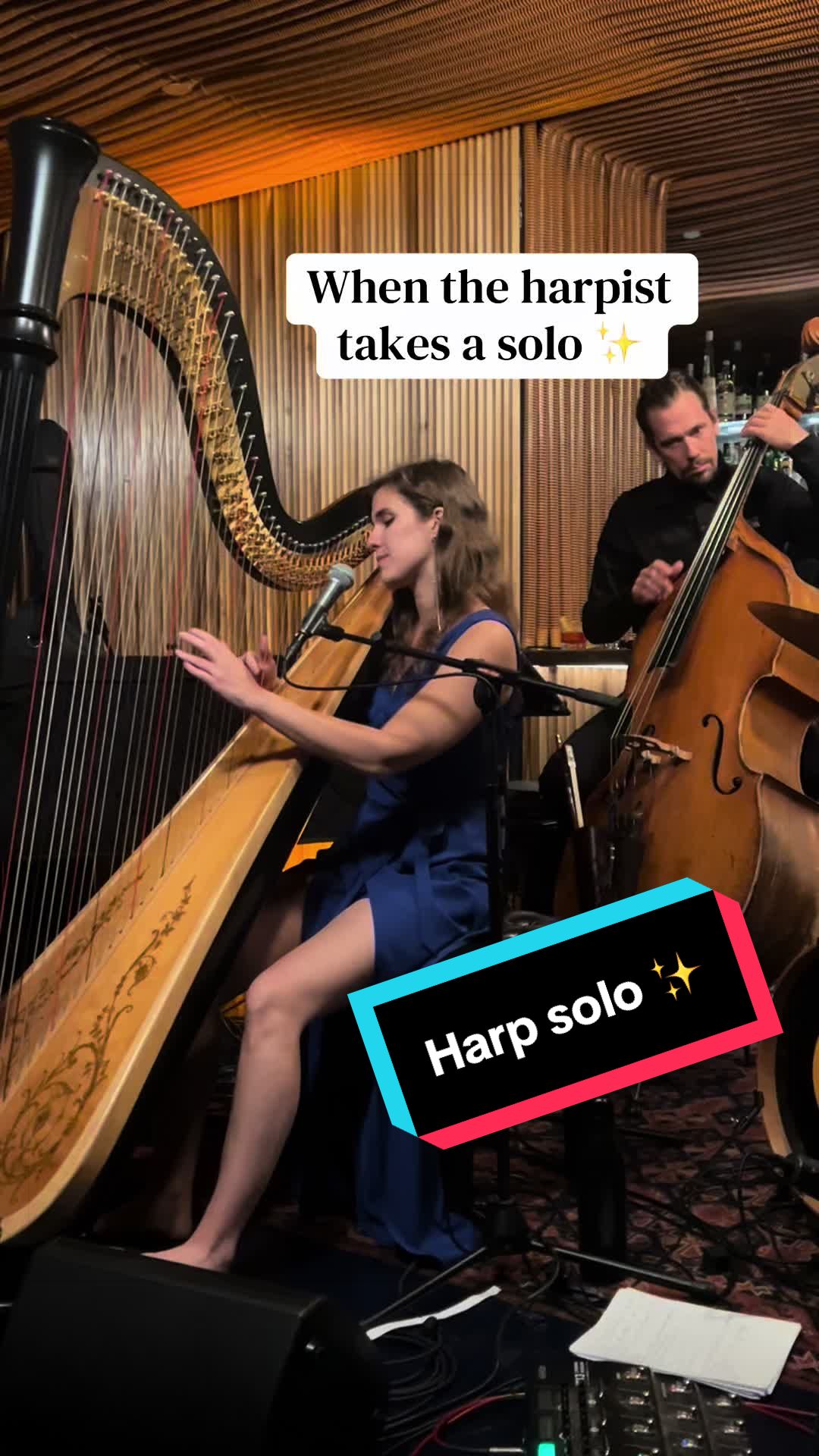 @Pia Salvia 🩵 Pia Harpist