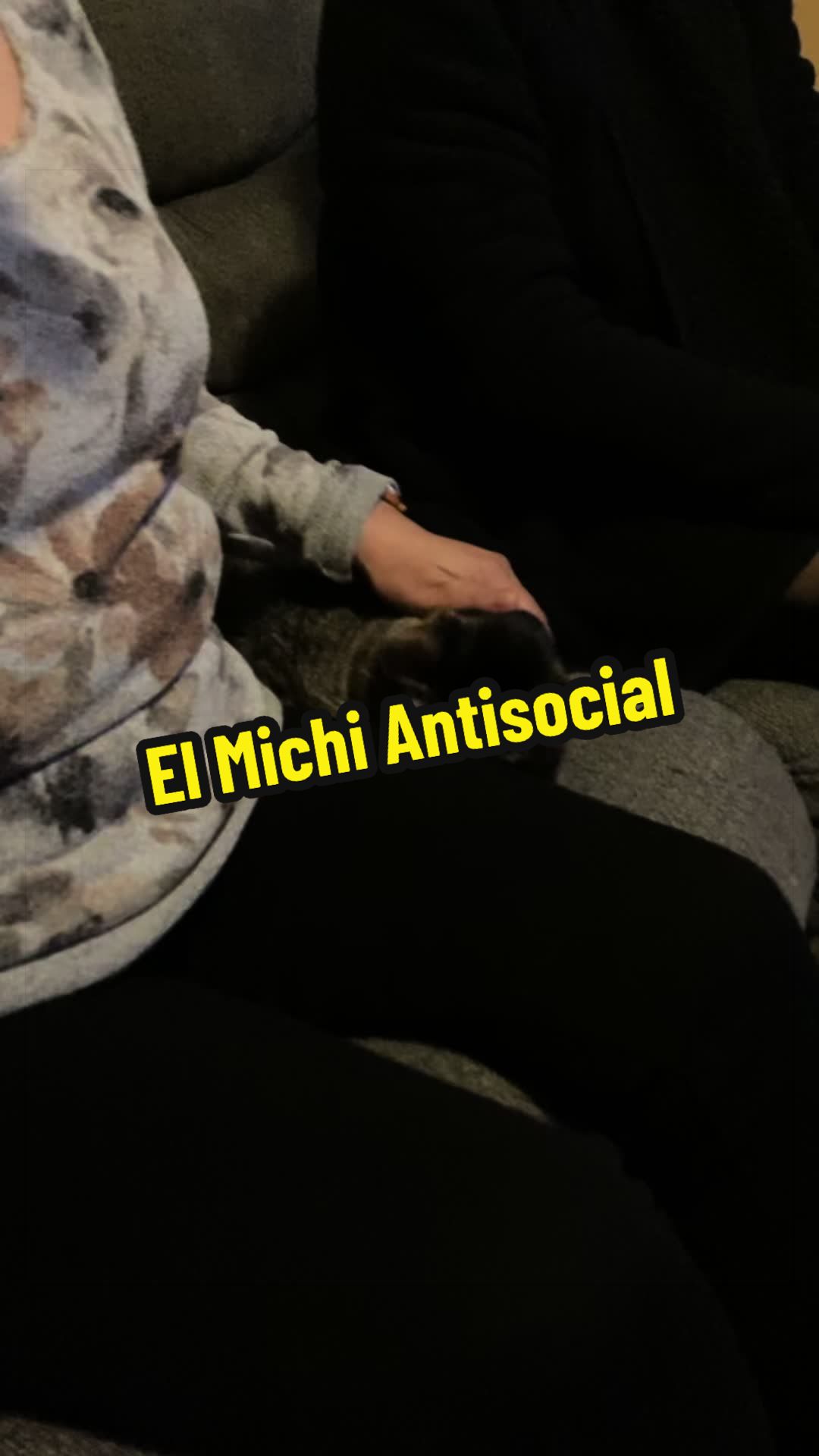 @🦖 MEOWassic World 🌎