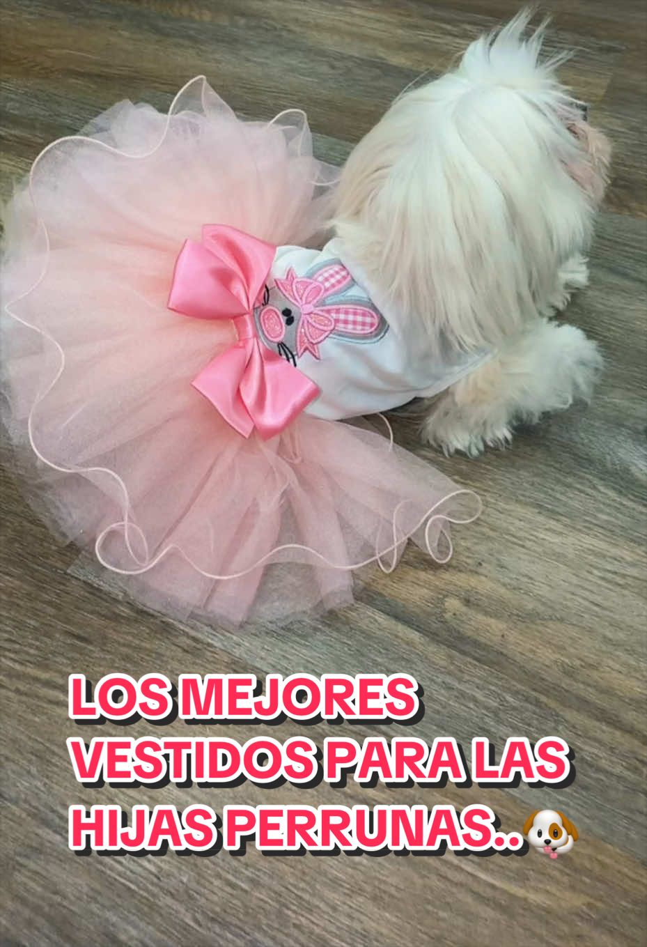 @Laclau