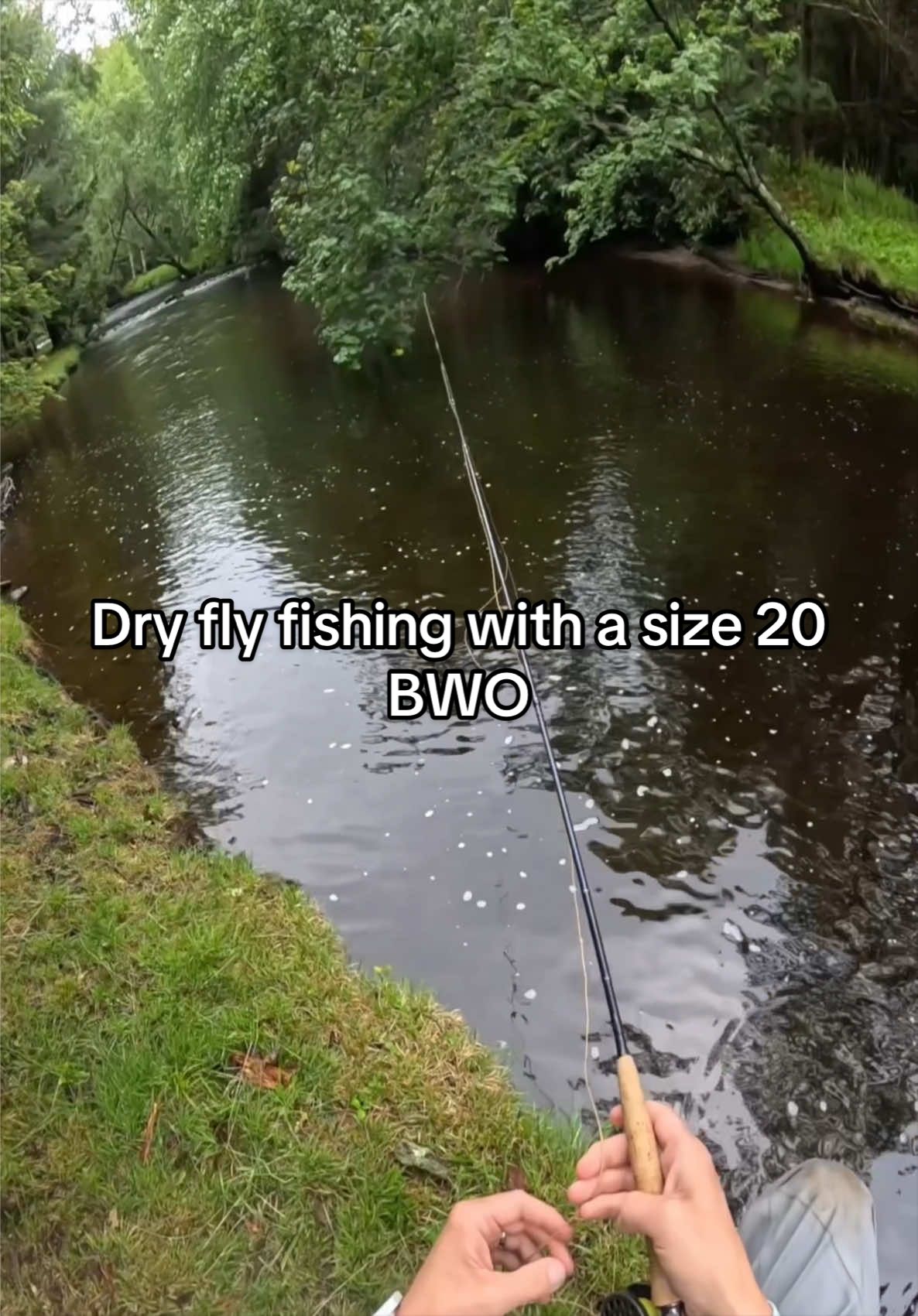 @FlyFishDelawhere