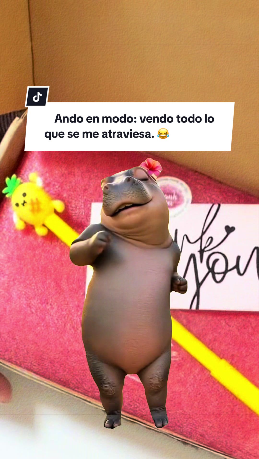 @MireyaFigueroa