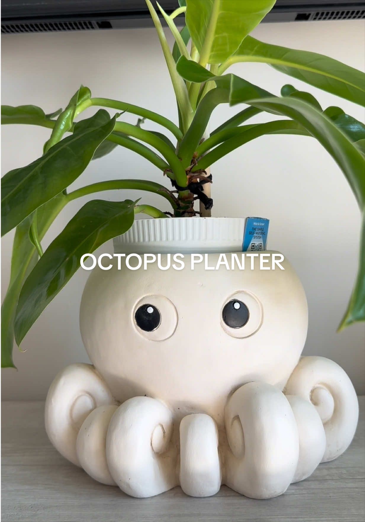 @FlorFamily
