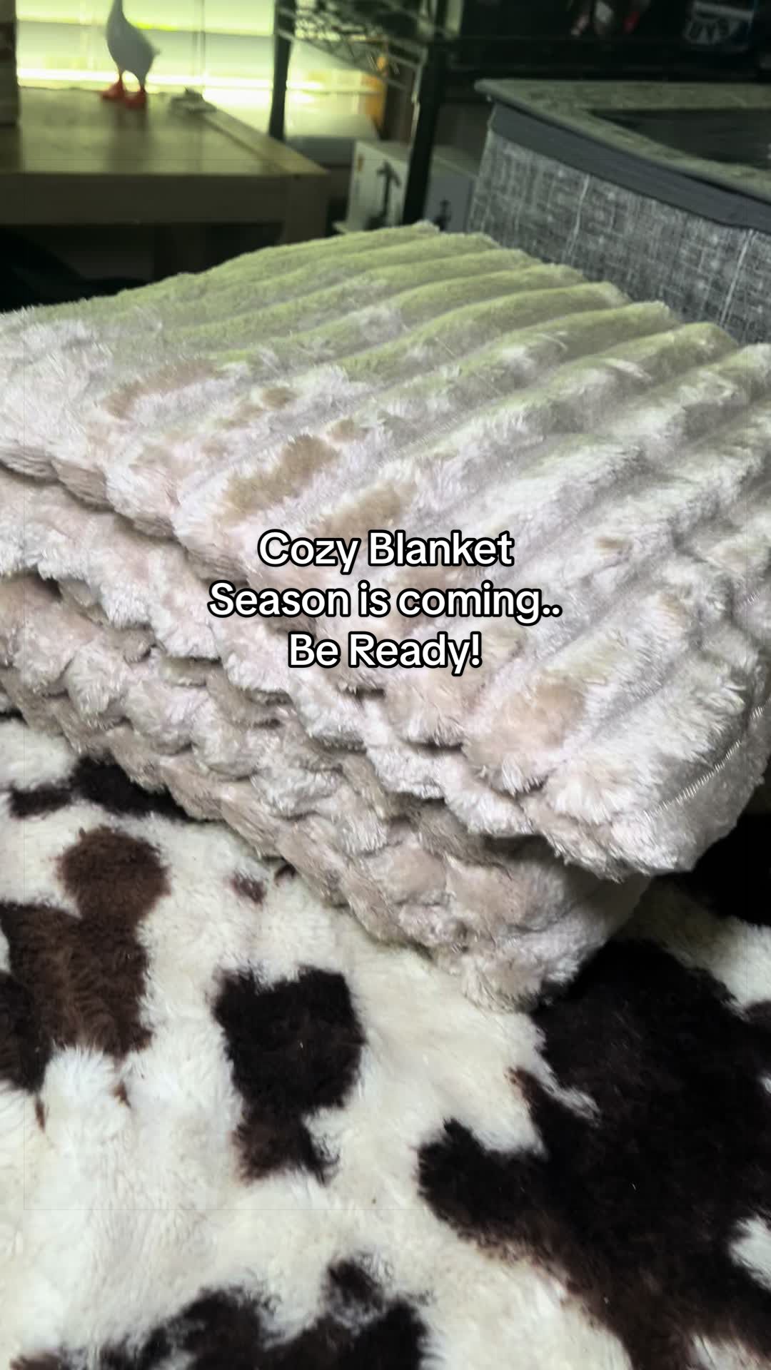 @Mrs. Kitty