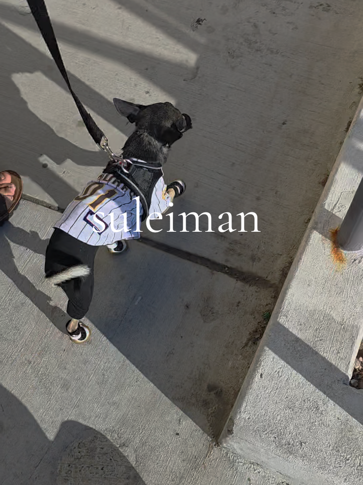@suleiman 🐕