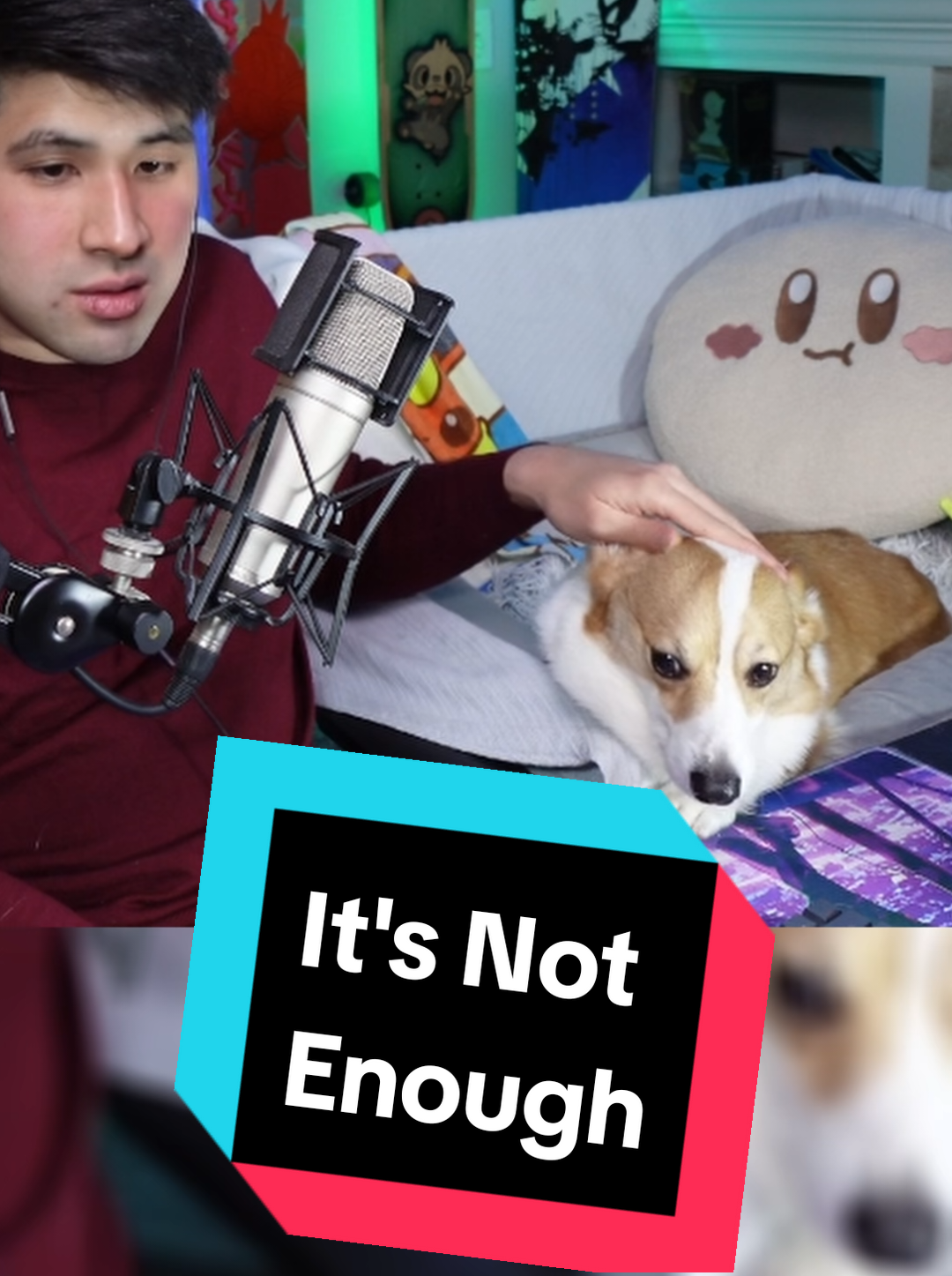 @Protocorg | Twitch Streamer