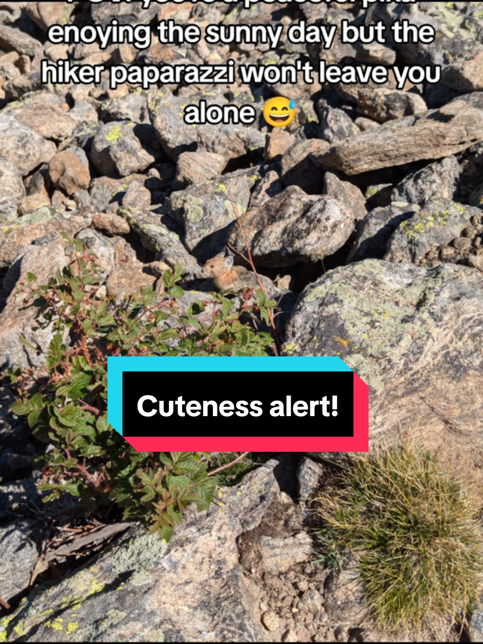 @wanders_lost_or_otherwise