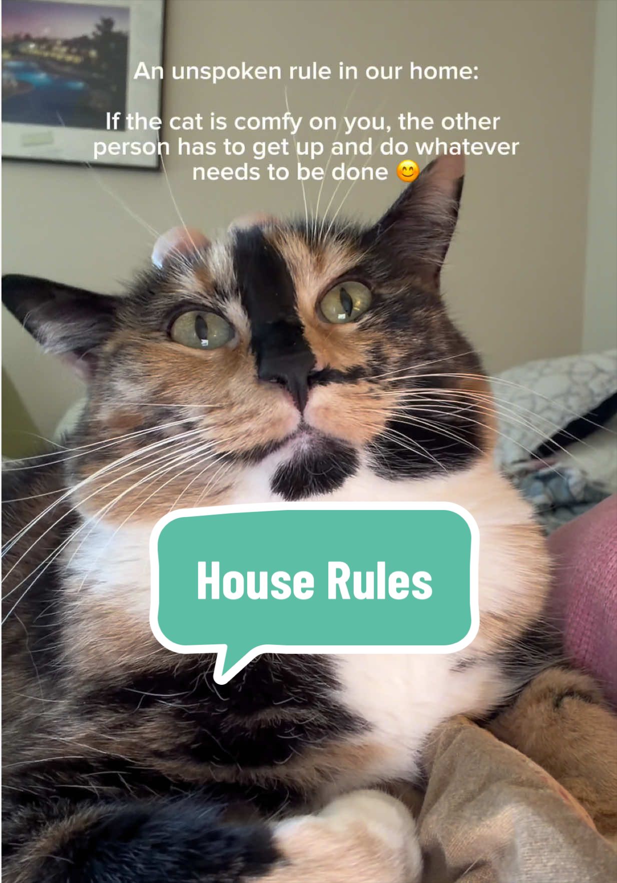 @SnickersTheSmilingCat
