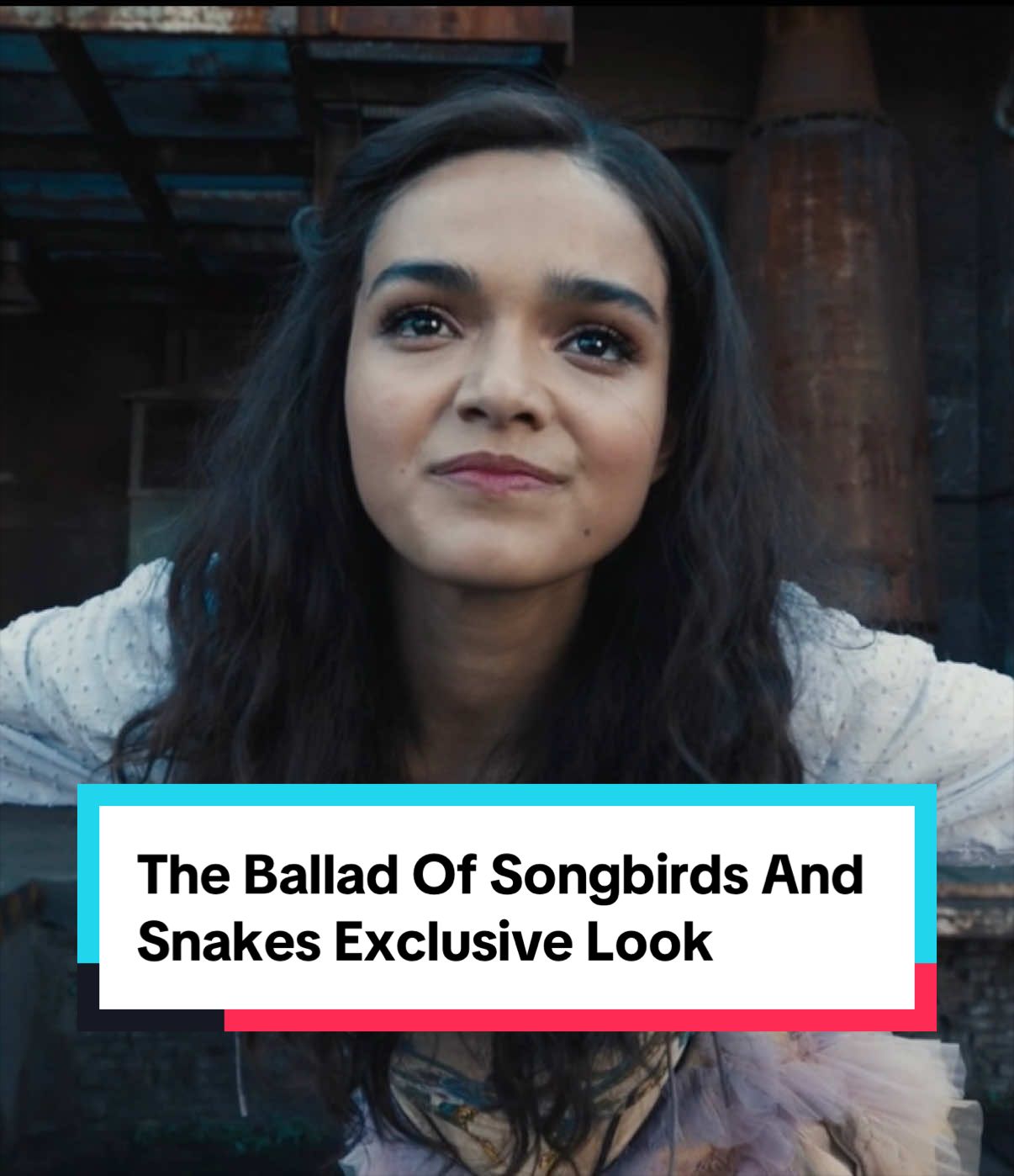 @Rotten Tomatoes
