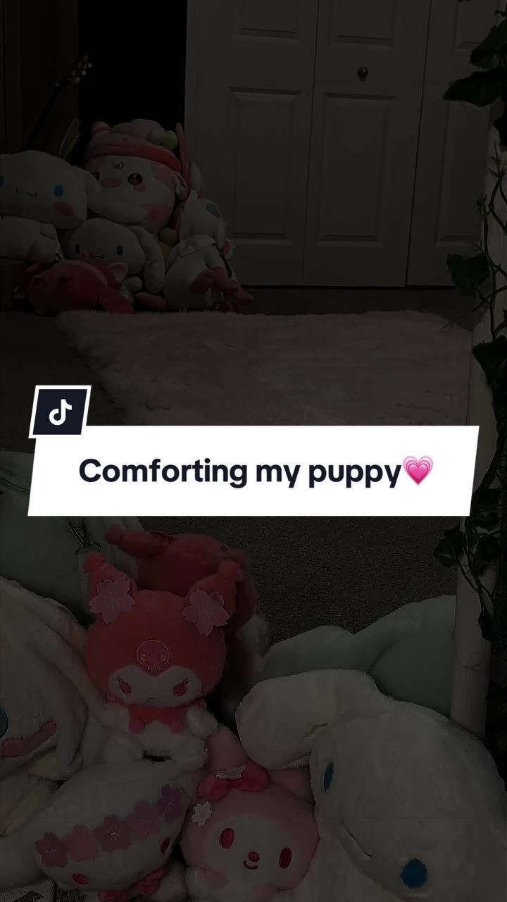 @LuuSilly 💗