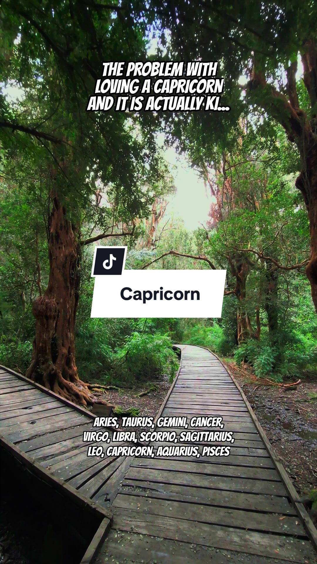 @Zodiac Vibes