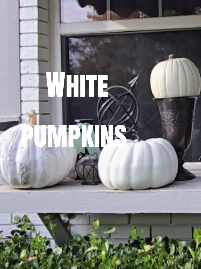 @Katherine Turner Homestylist