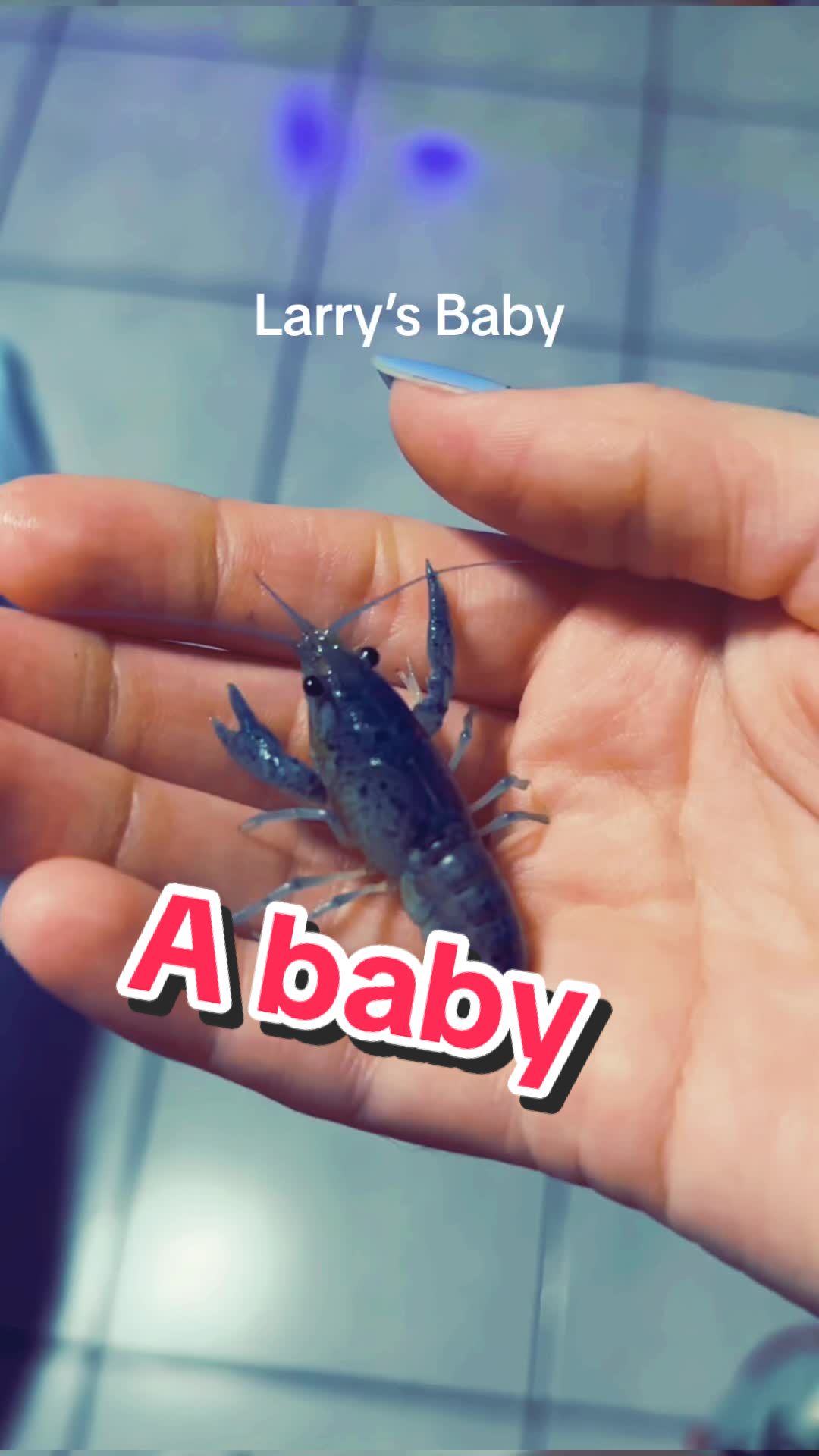 @Larrythebluecrawfish
