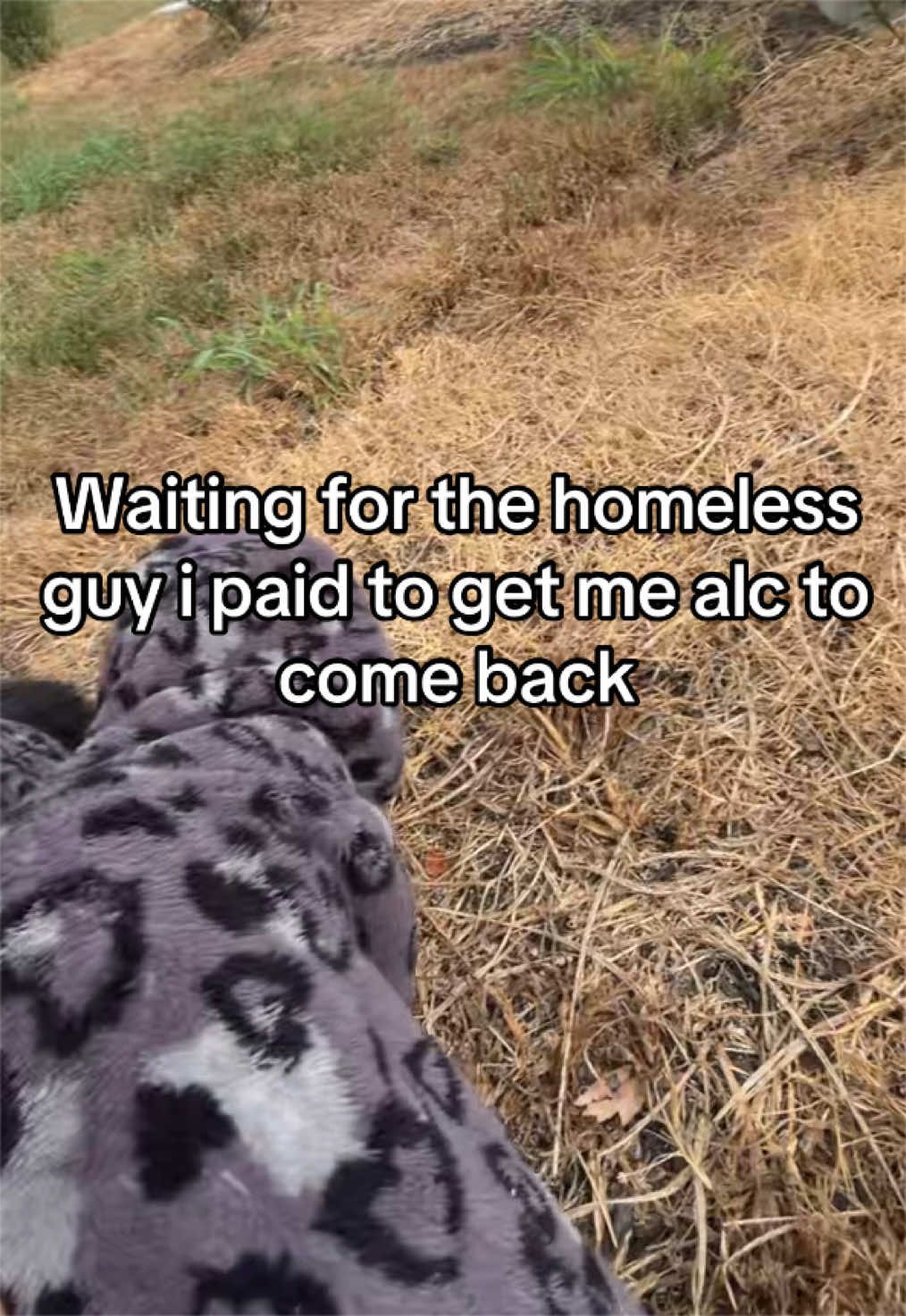 @𝓗𝓪𝓲𝓵𝓮𝔂🌀🍃